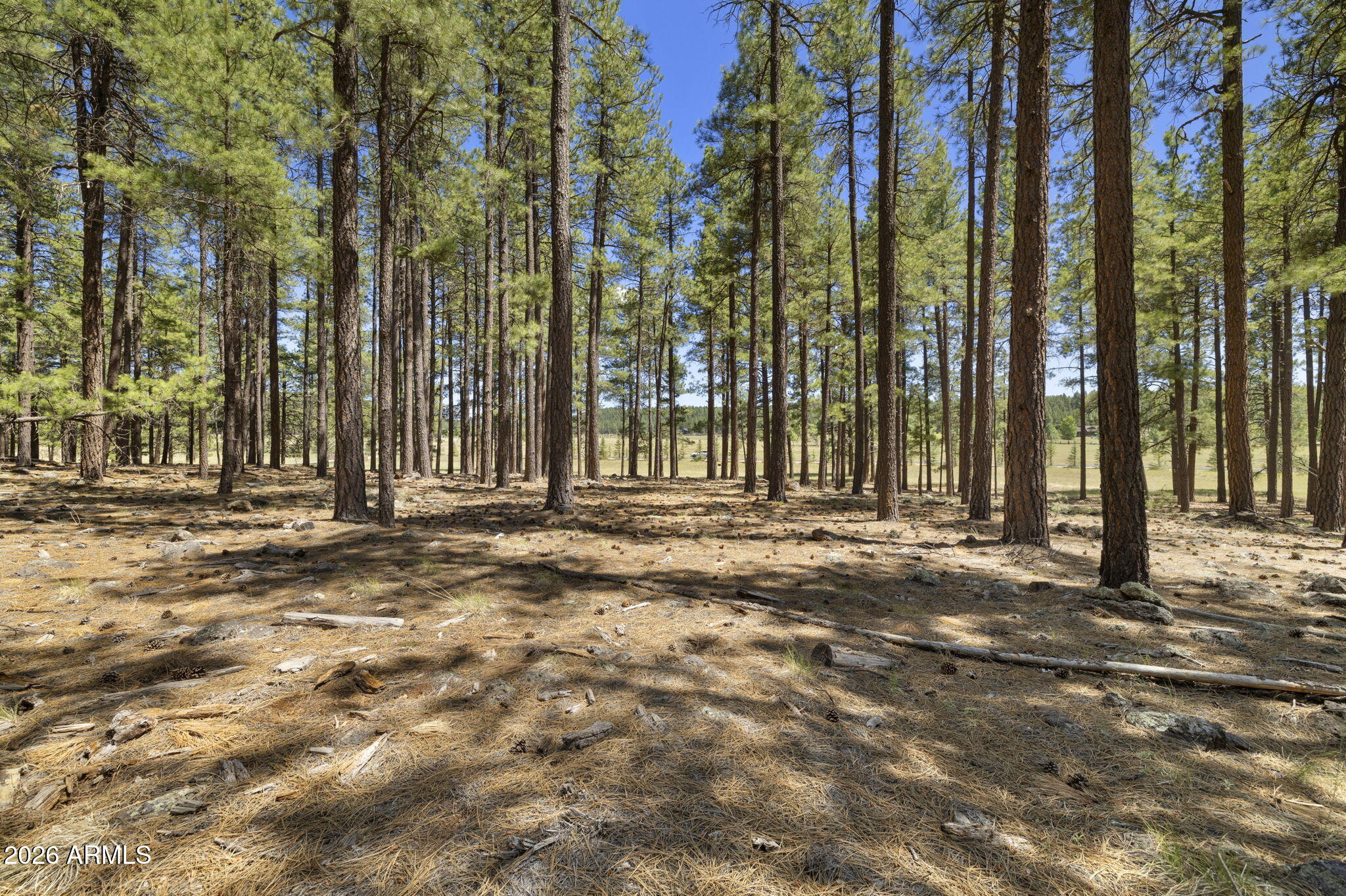 FOXBORO RANCH ESTATES - Land
