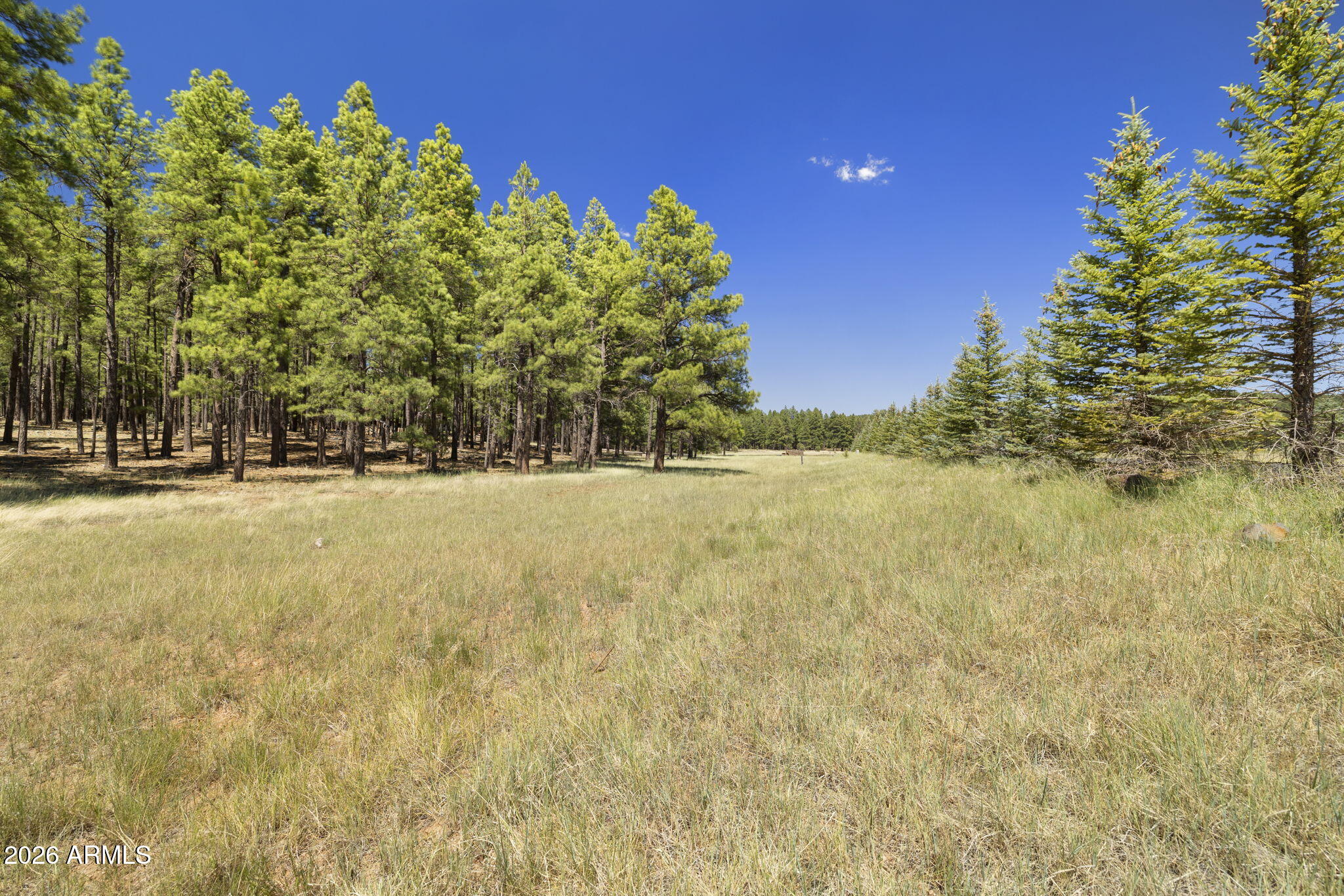 FOXBORO RANCH ESTATES - Land