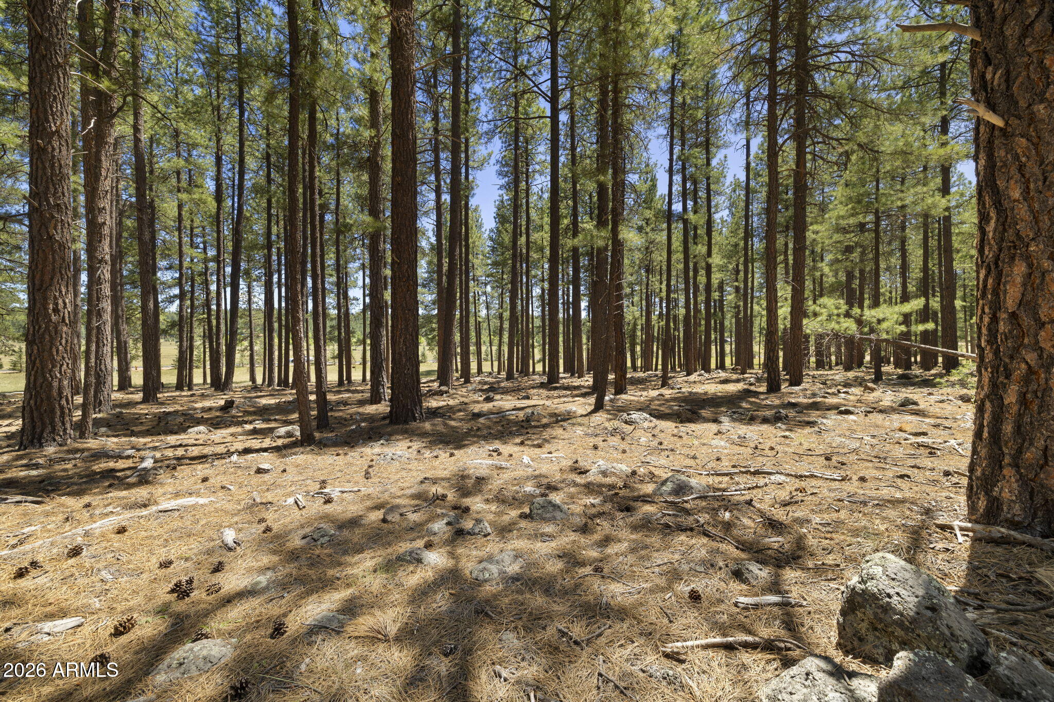 FOXBORO RANCH ESTATES - Land