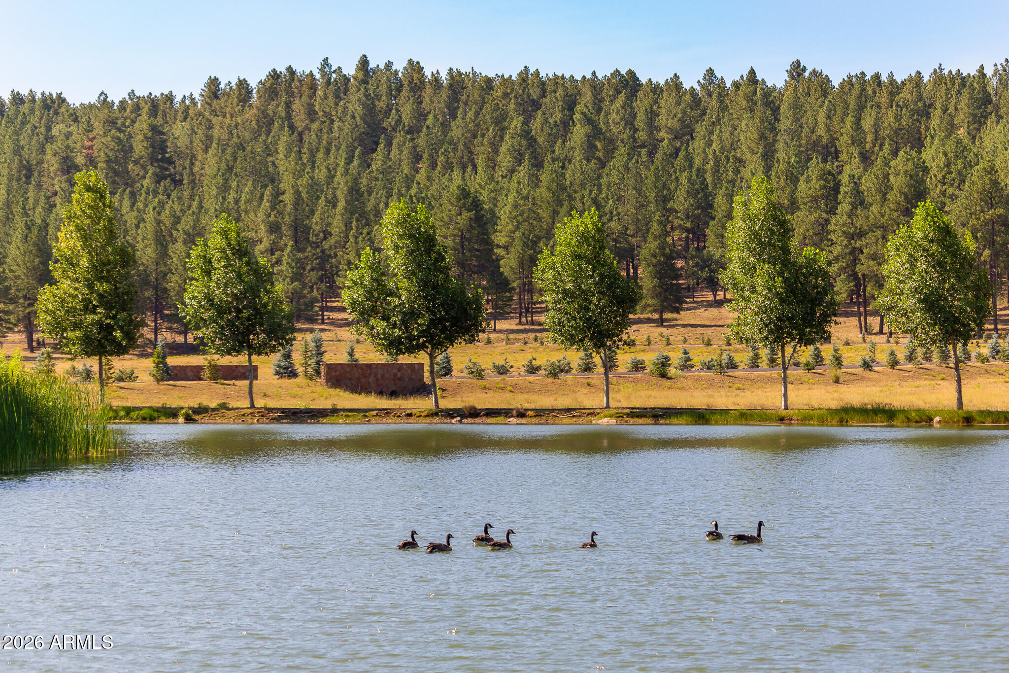 FOXBORO RANCH ESTATES - Land
