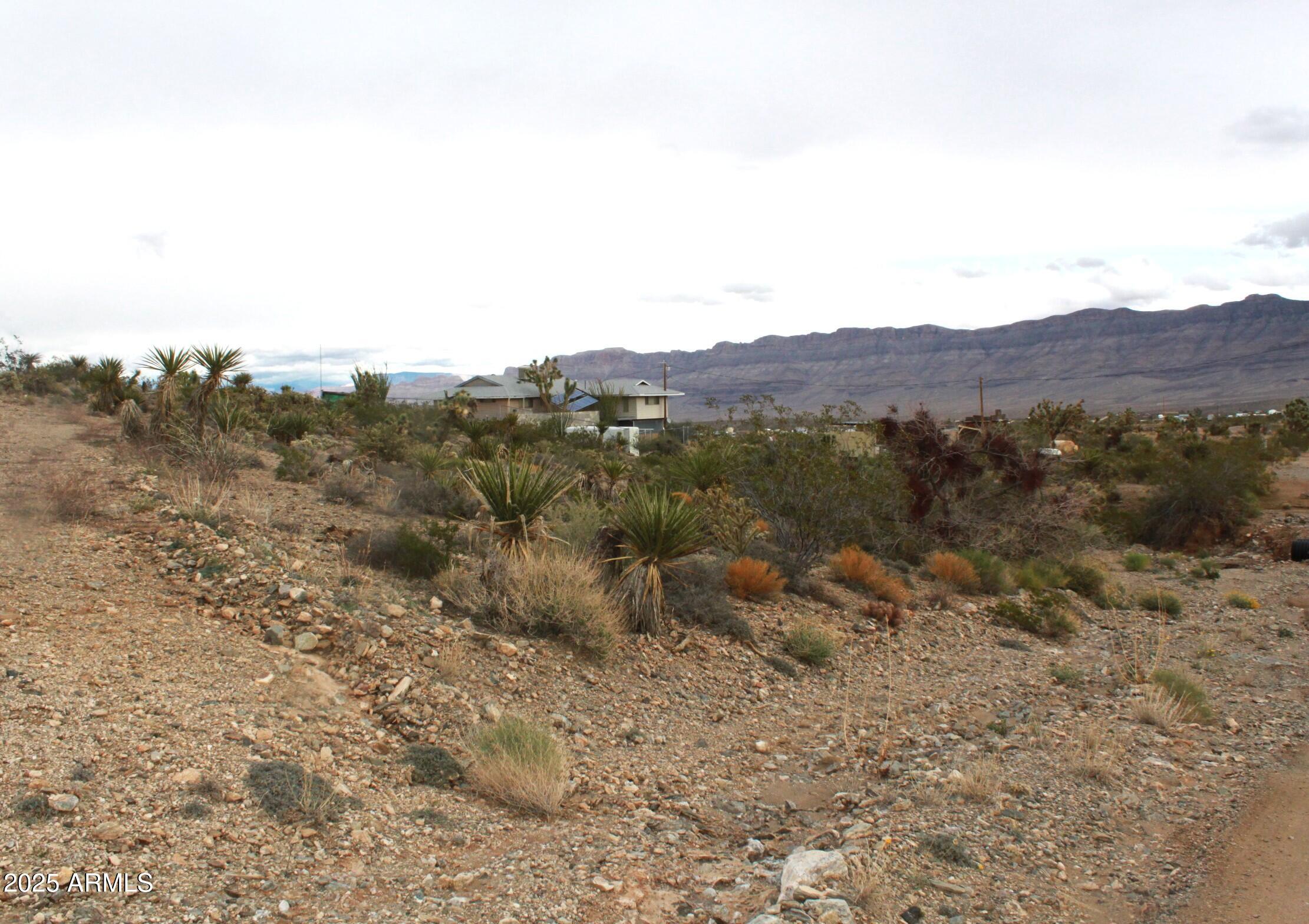 MEADVIEW UNIT 3 - Land