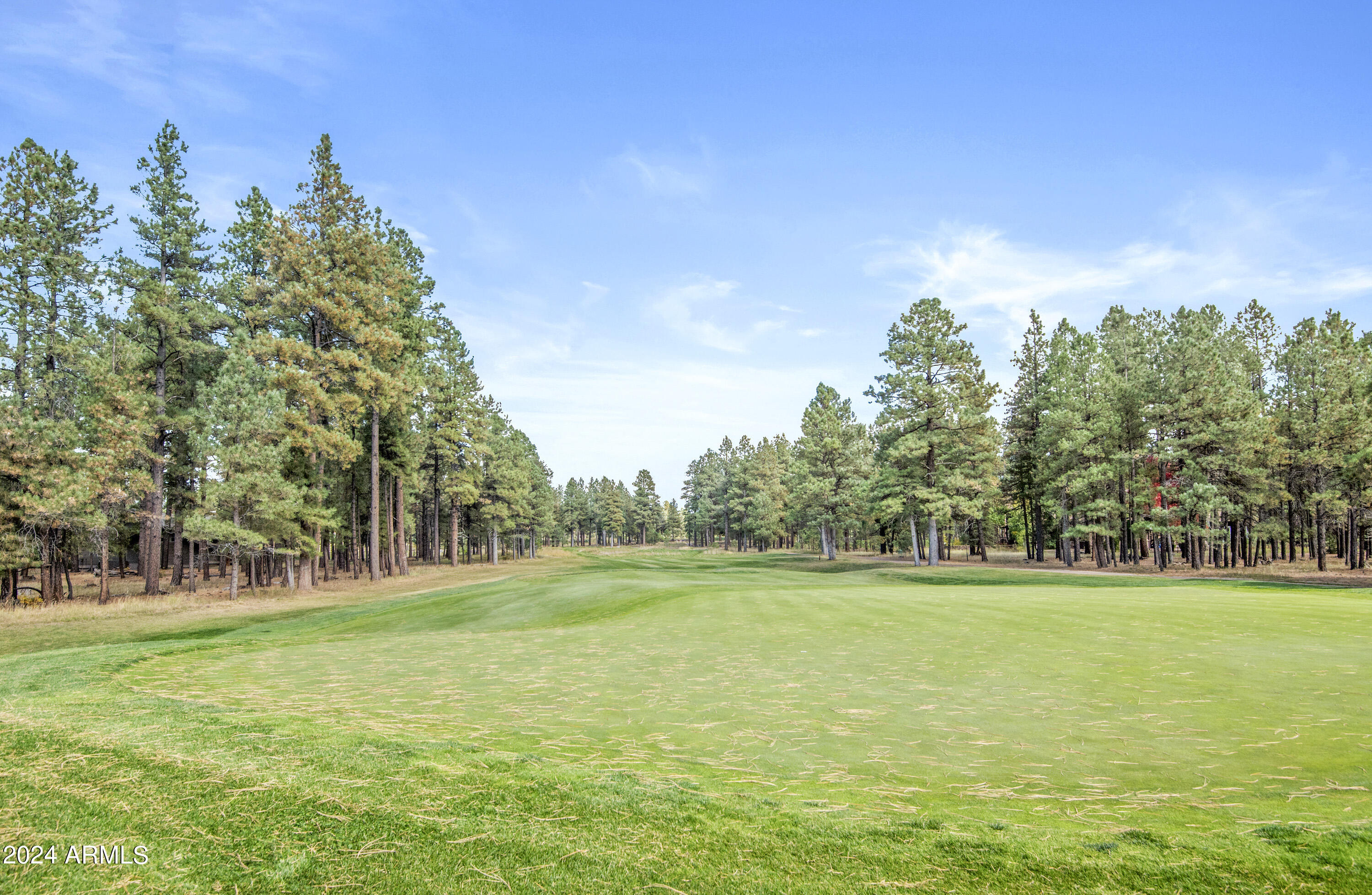 FOREST HIGHLANDS - Residential