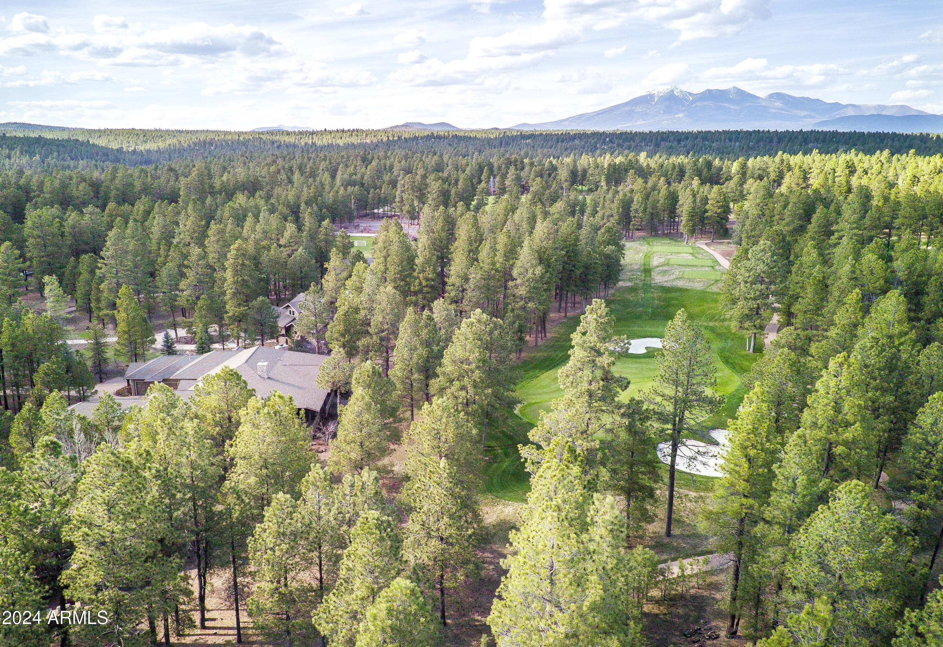 FOREST HIGHLANDS - Residential