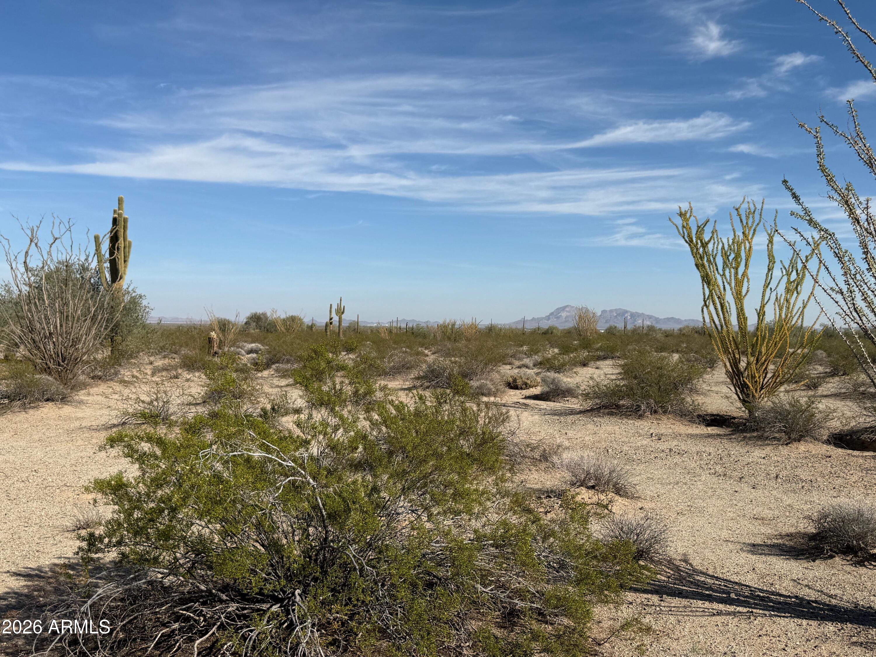 Excellent opportunity adjacent to the Harquahala Sun Solar Project and less than one mile from the Harquahala Power Plant. Ideal for solar development or long-term investment. Easy access to Interstate 10 and close to the Phoenix Metro area. Seller may carry and will consider a land lease for solar use. Enjoy beautiful desert views and Eagle Tail Mountain scenery with easy access to the property.