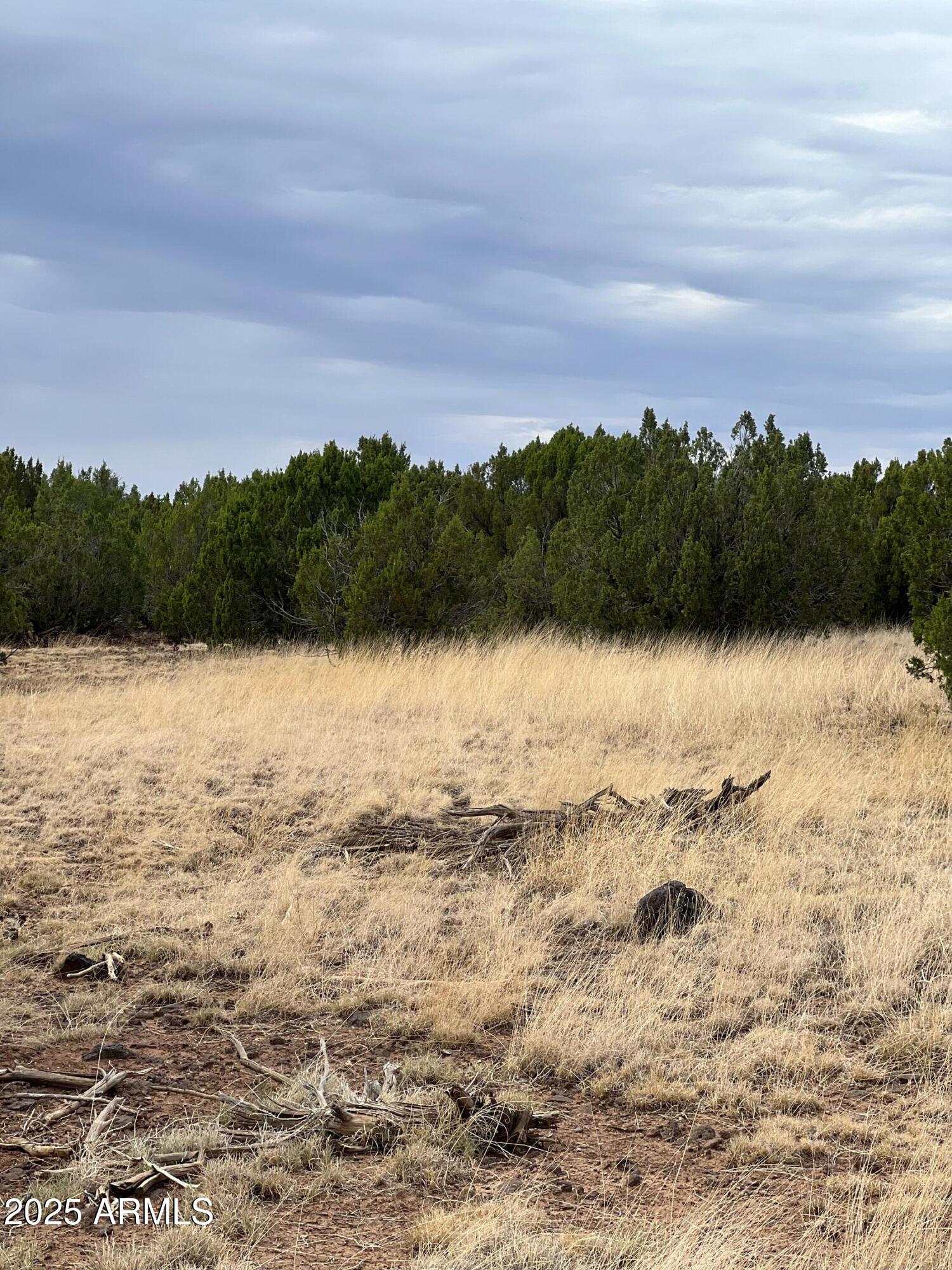 Beautiful level lot with juniper, pinon pine, and cedar pine trees.  Priced to sell.
