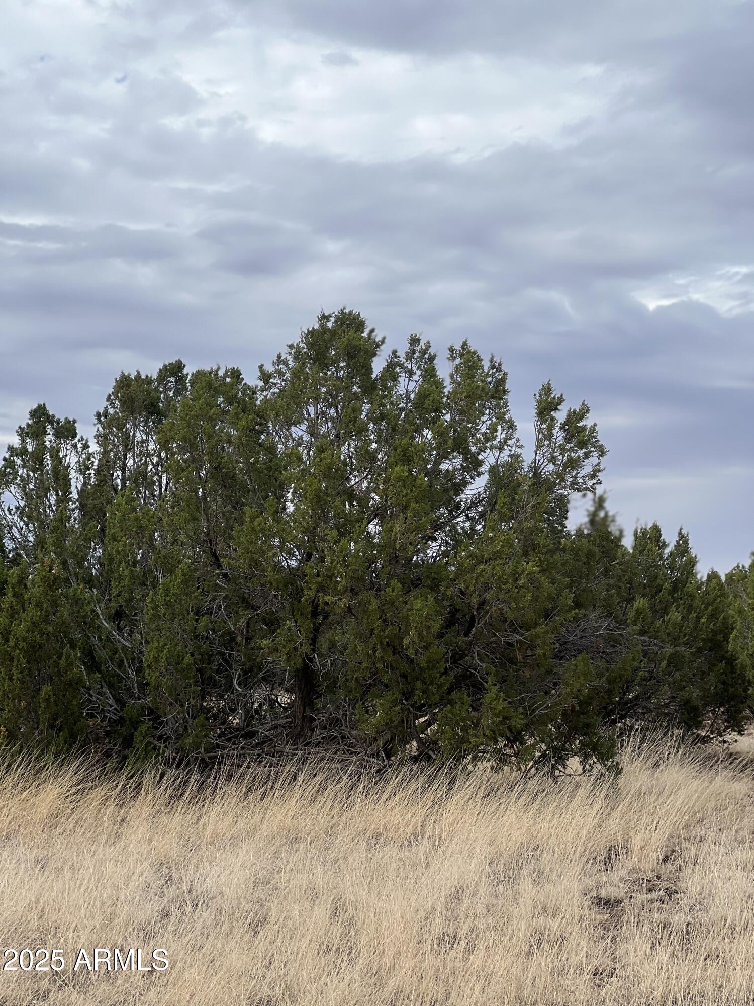 WHITE MOUNTAIN LAKES UNIT 13 - Land