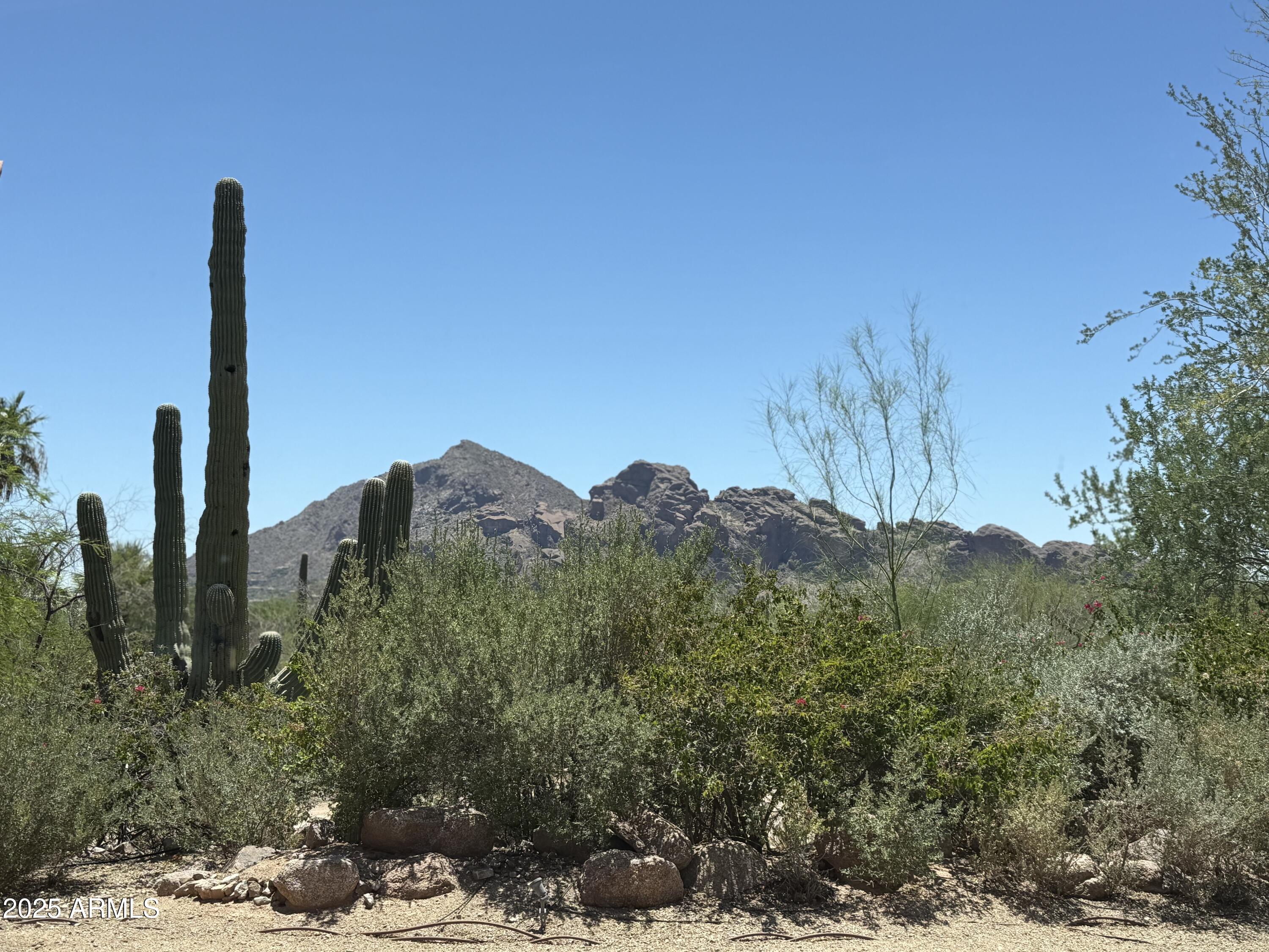 Incredible opportunity to build your dream estate on this rare, flat lot in the heart of Paradise Valley. With panoramic views of Camelback Mountain, Mummy Mountain, and the Phoenix Mountain Preserve, this property offers an unparalleled backdrop for luxury living. Located in one of Arizona's most prestigious zip codes, this non-hillside designated lot gives you greater design flexibility and buildable space. Imagine expansive indoor-outdoor living, resort-style amenities, and dramatic sunset views—all minutes from world-class dining, golf, and shopping. No HOA. A blank canvas in a breathtaking location—ready for your vision.