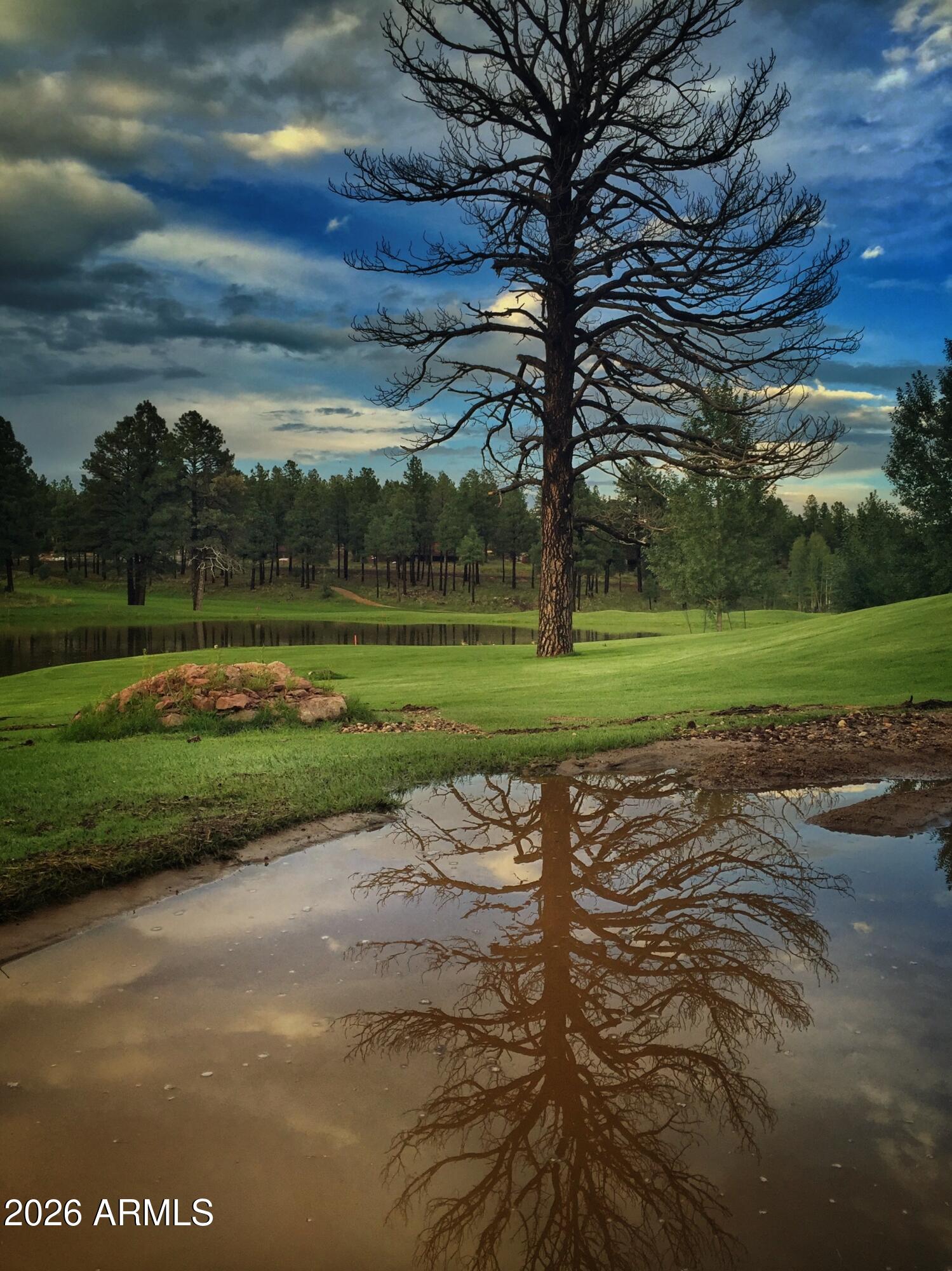 Pine Canyon - Residential