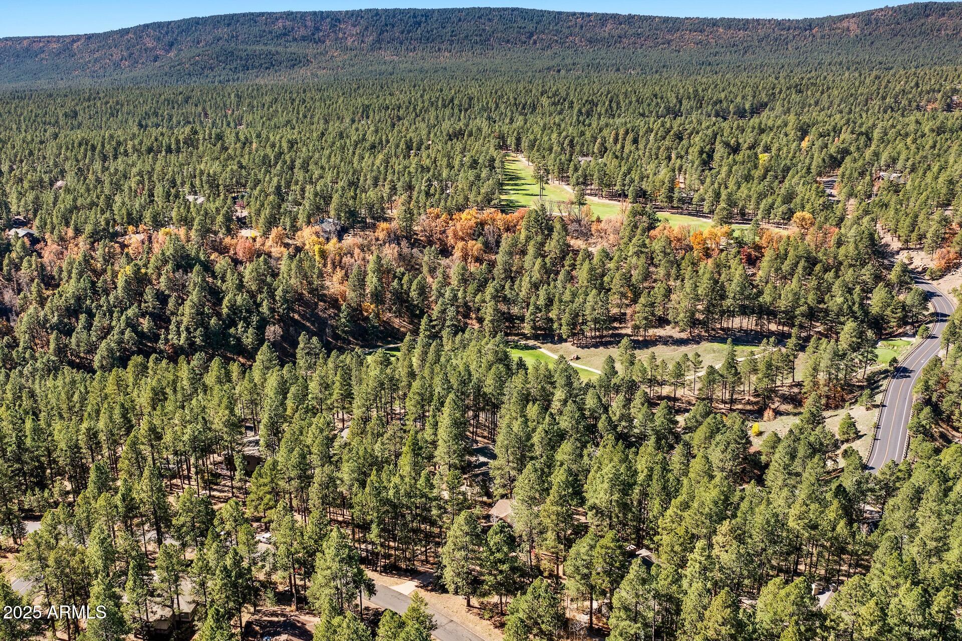 FOREST HIGHLANDS 4 - Residential