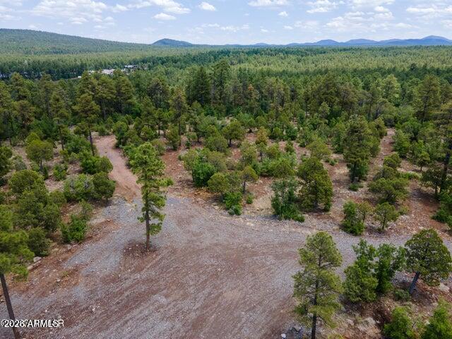 Pinetop Unsubdivided - Land