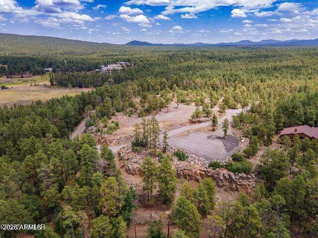 Pinetop Unsubdivided - Land