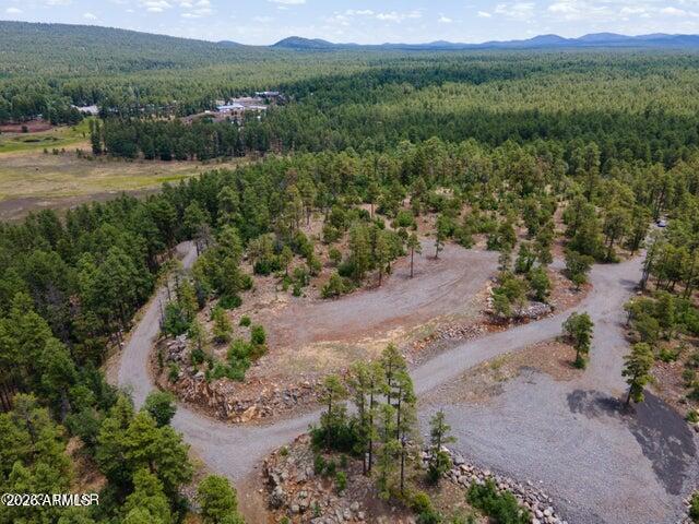 Pinetop Unsubdivided - Land