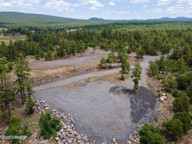 Pinetop Unsubdivided - Land