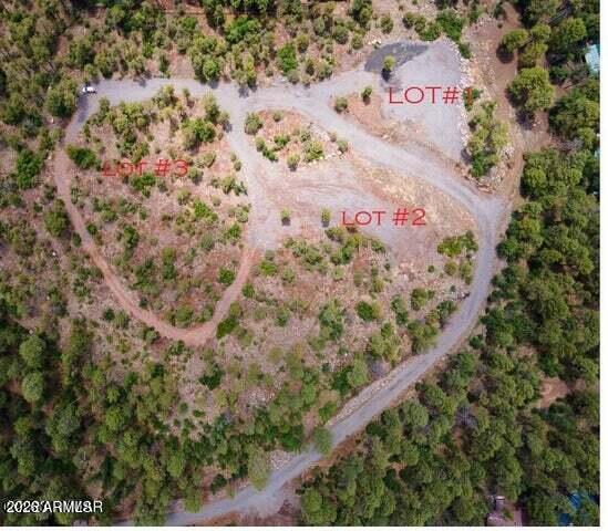 Pinetop Unsubdivided - Land
