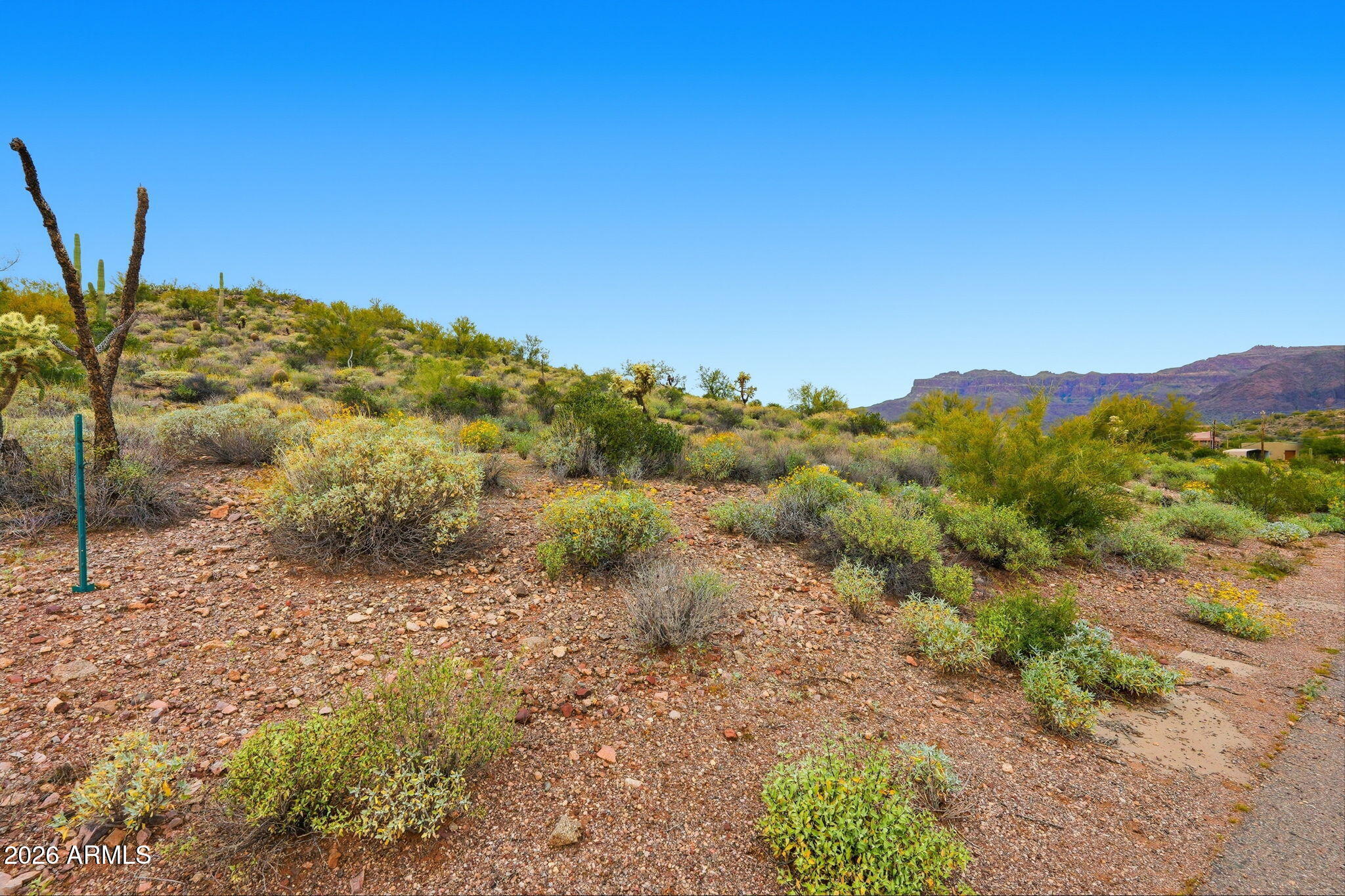 Montana Dorada - Land