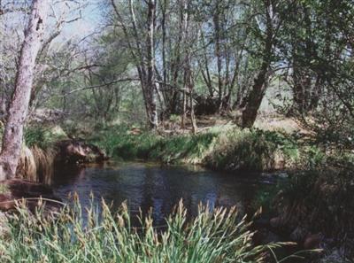 5 Acres or More - Residential