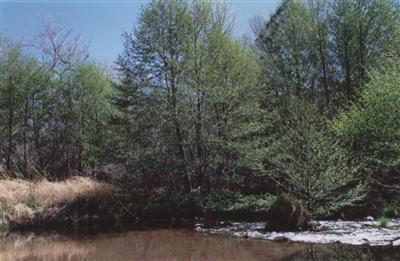 5 Acres or More - Residential