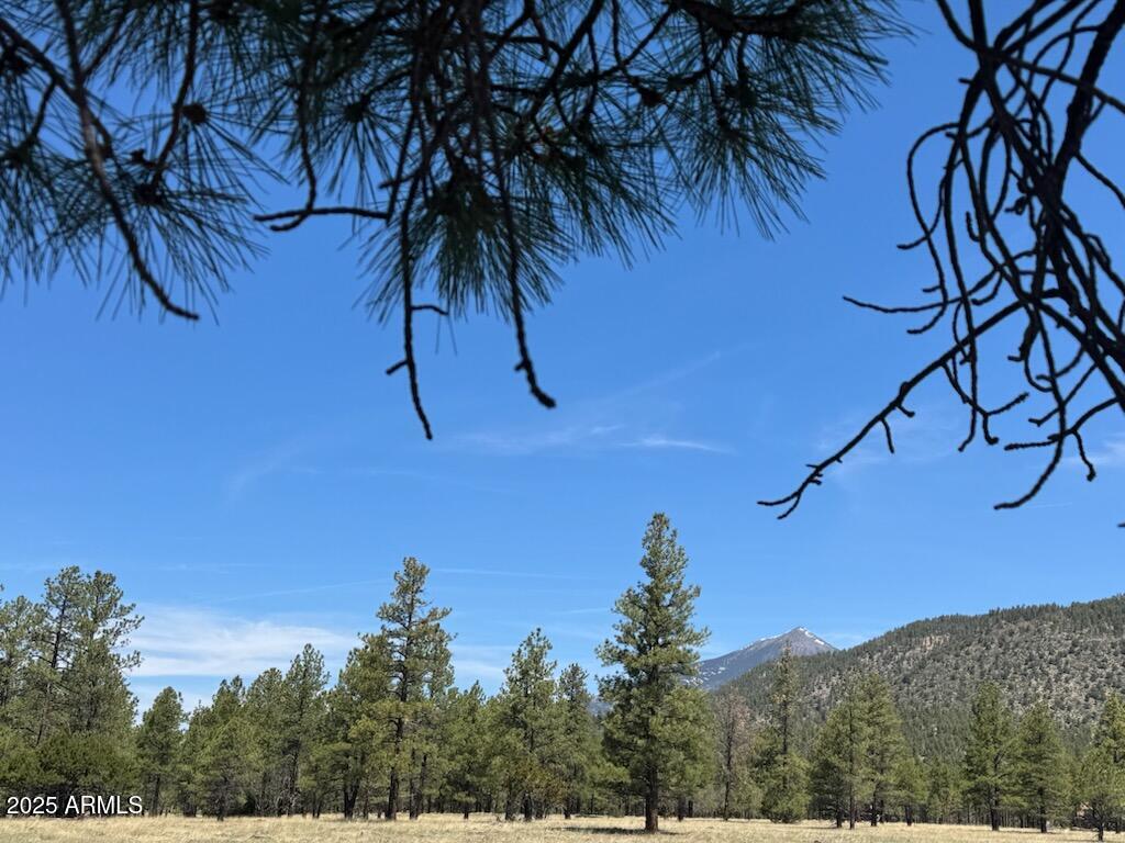 Lockett Ranches - Land