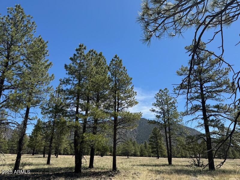 Lockett Ranches - Land