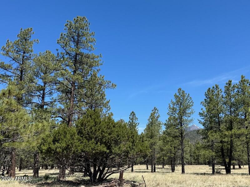 Lockett Ranches - Land