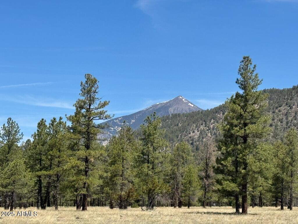 Lockett Ranches - Land