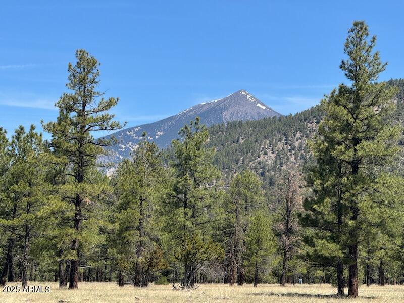 Lockett Ranches - Land