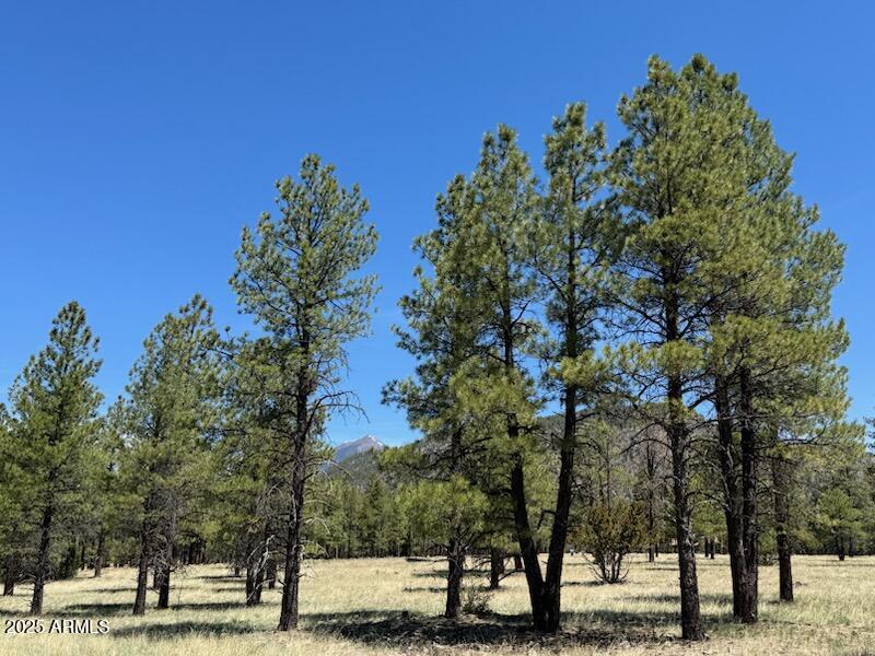 Lockett Ranches - Land