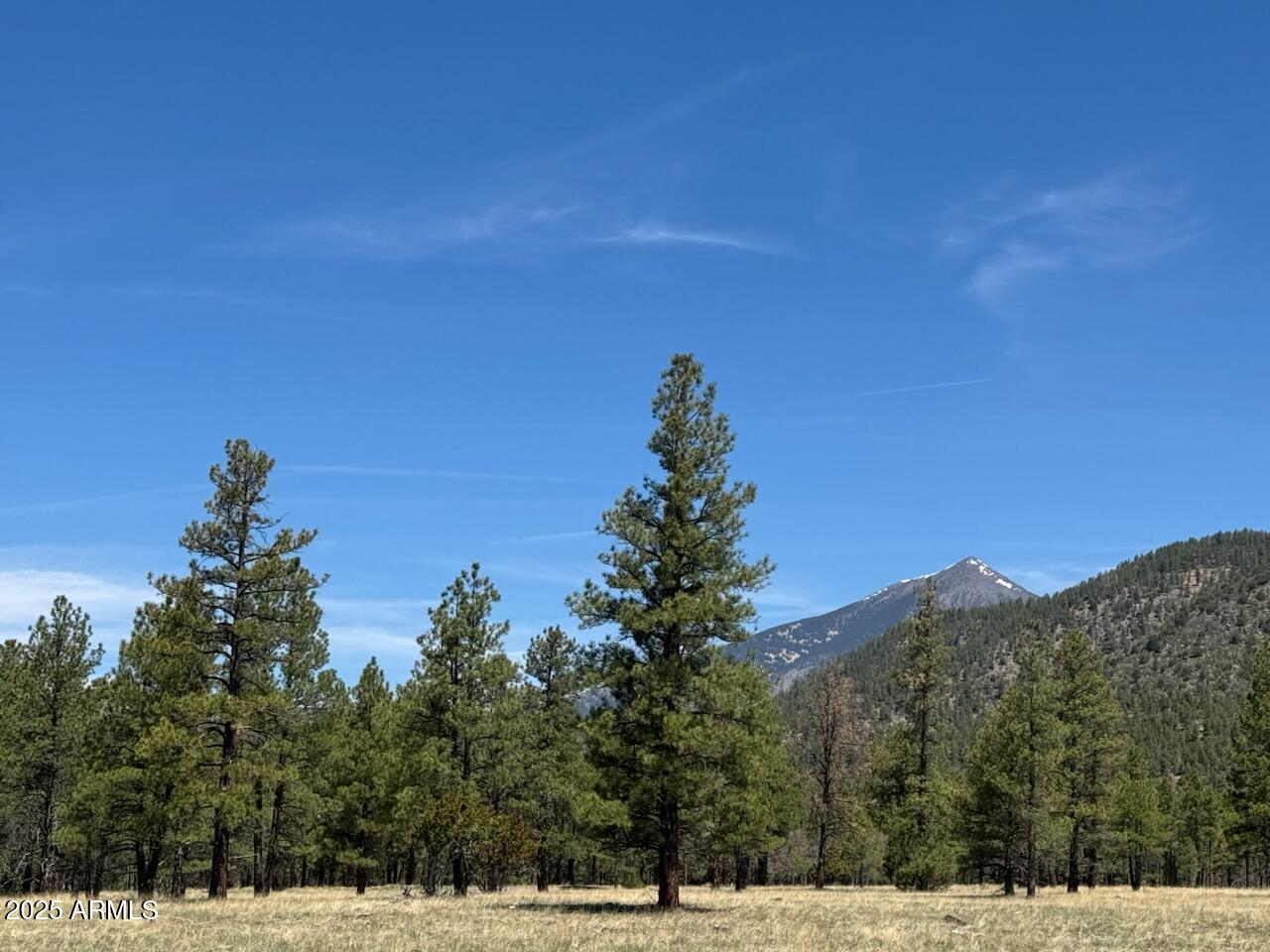 Lockett Ranches - Land