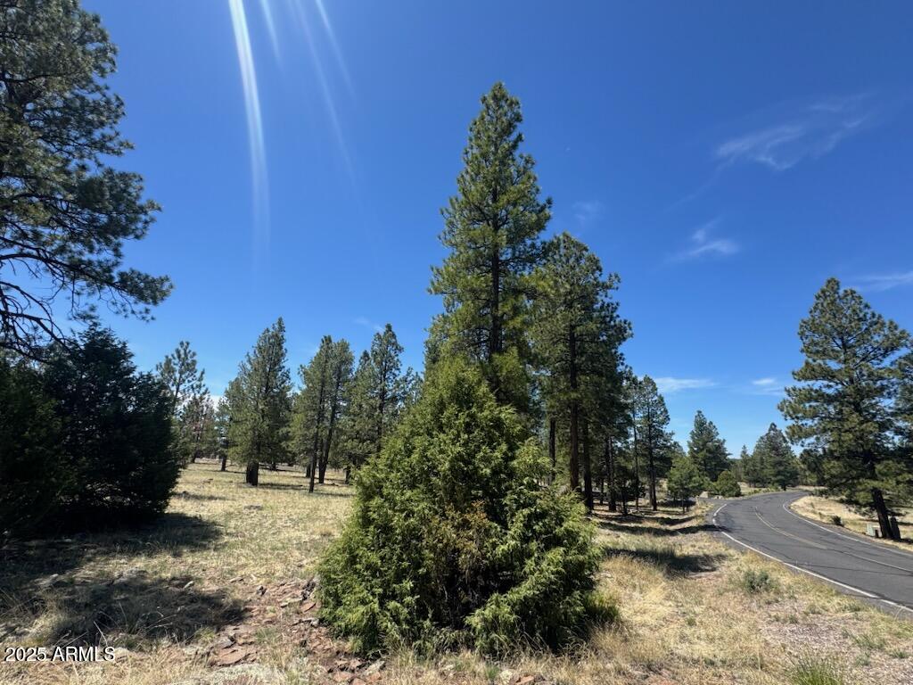 Lockett Ranches - Land