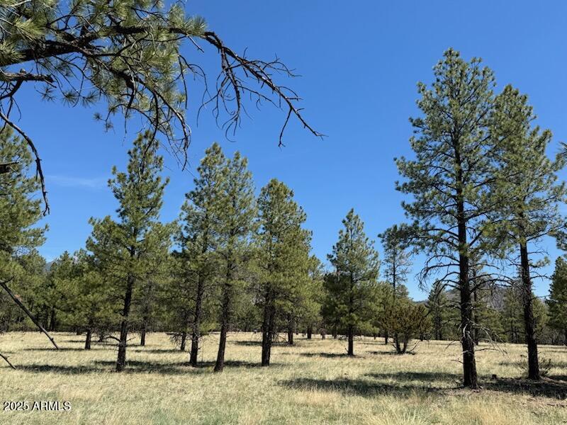 Lockett Ranches - Land