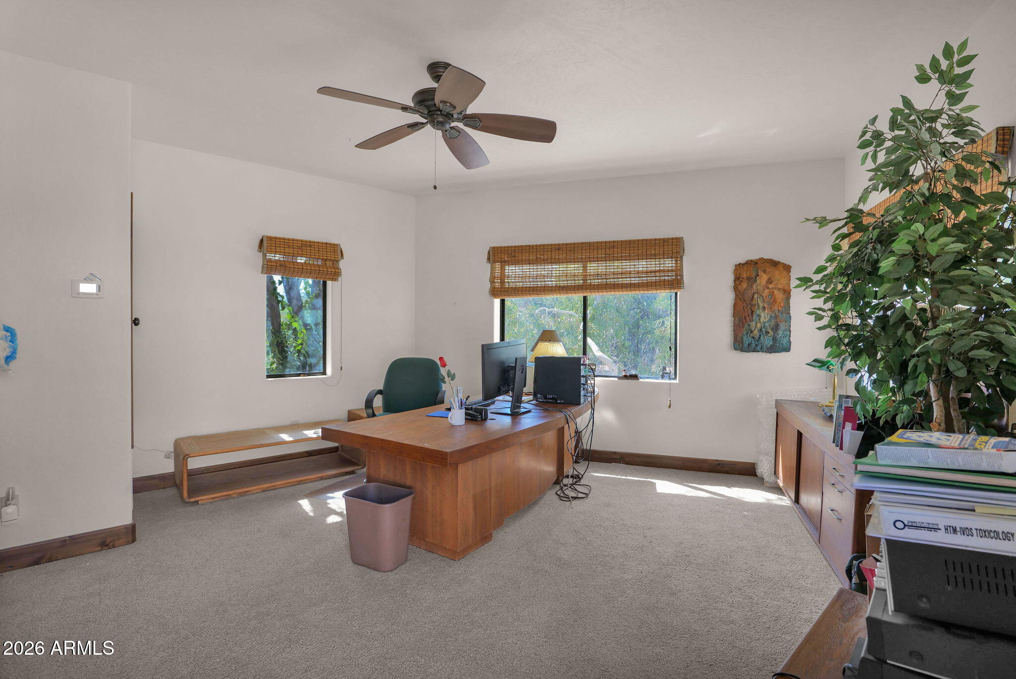County Island - Residential
