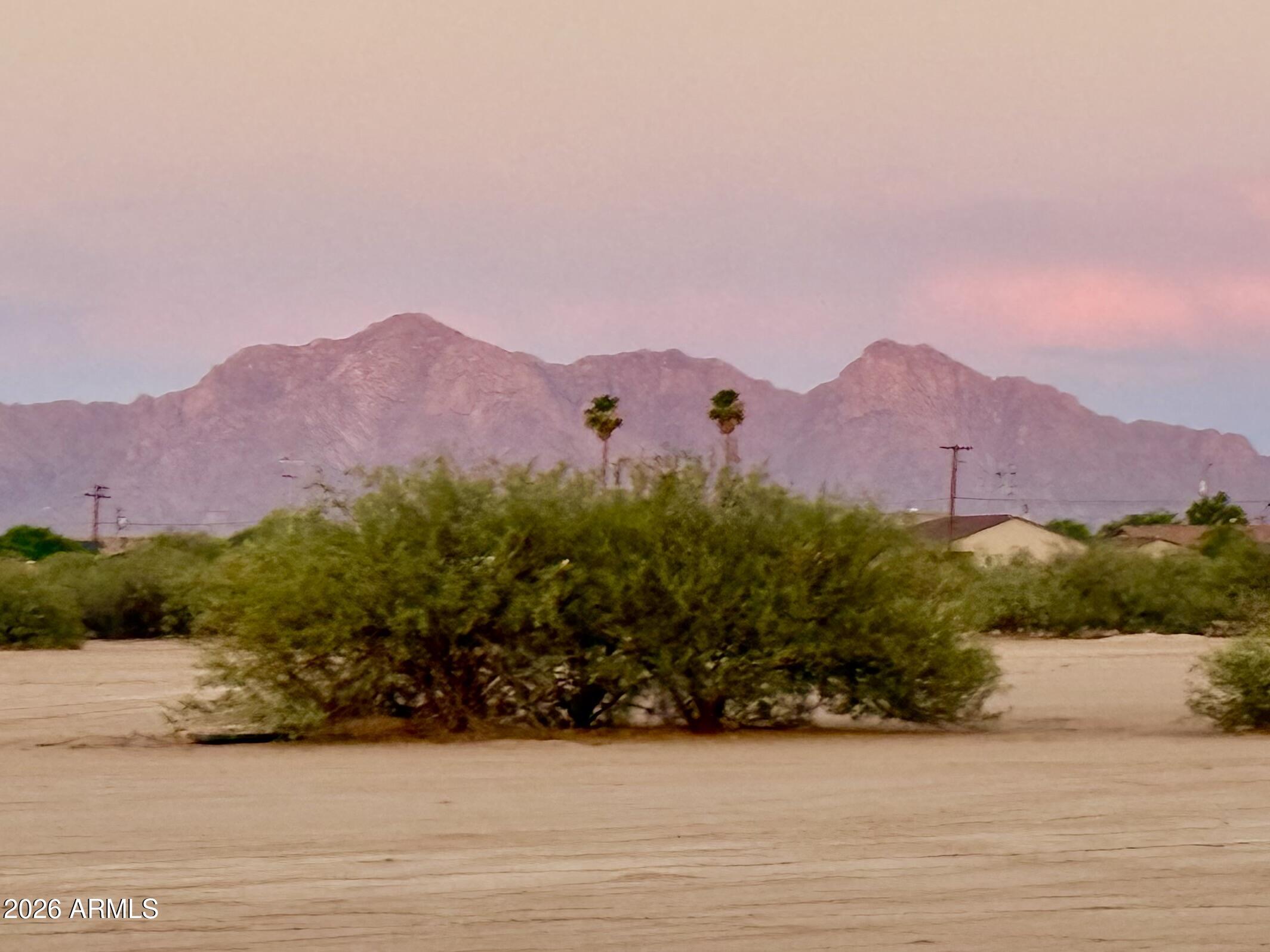 Build or Invest in Growing Eloy! This 0.327-acre (approx. 14,224 sq ft) lot is zoned R1-12 for single-family residential use and offers an excellent opportunity for a custom home or long-term investment. Located on a quiet cul-de-sac in a developing area of Eloy with no HOA, this flat, buildable lot has nearby utilities and easy access to I-10. Positioned between Phoenix and Tucson, this area is seeing steady growth and increasing demand. A great find for investors or future homeowners! Lots also available to purchase individually. SELLER WILL FINANCE
