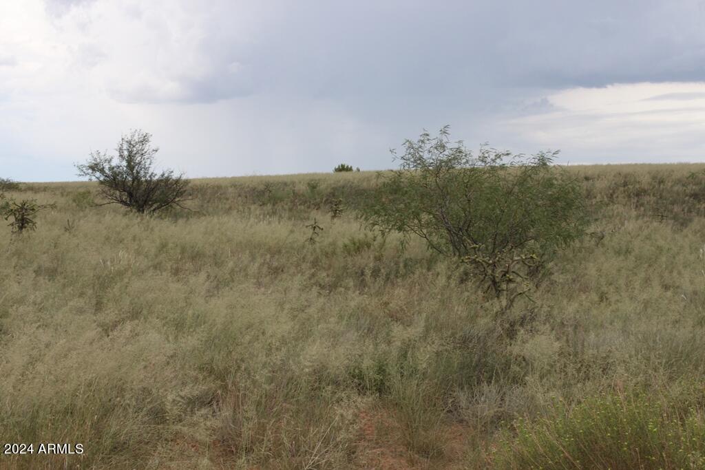DEER RIDGE ESTATES - Land