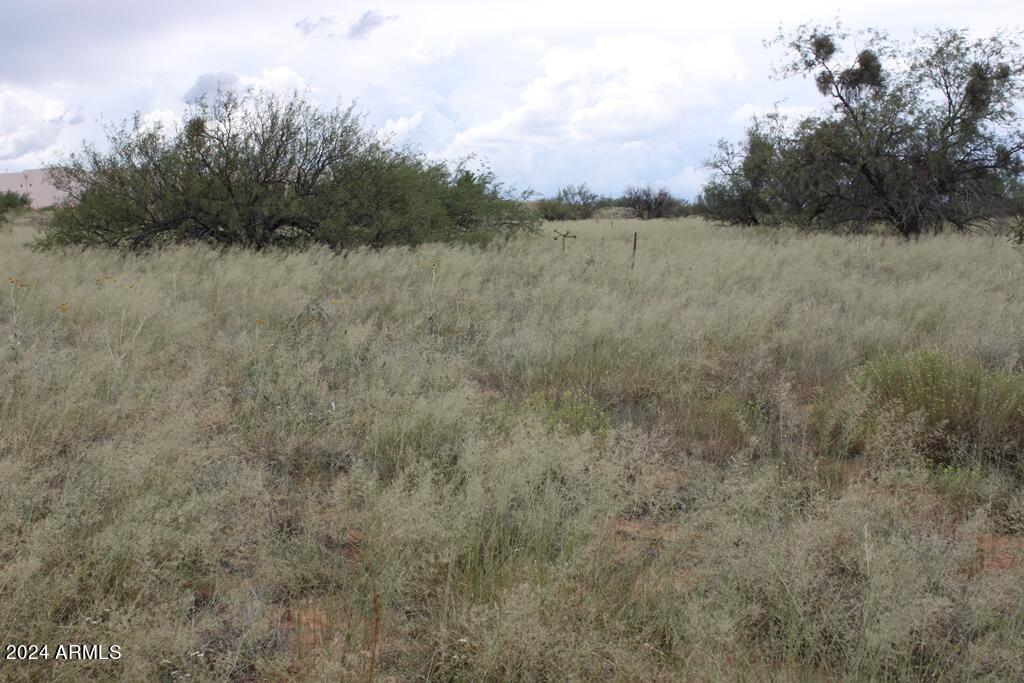 DEER RIDGE ESTATES - Land