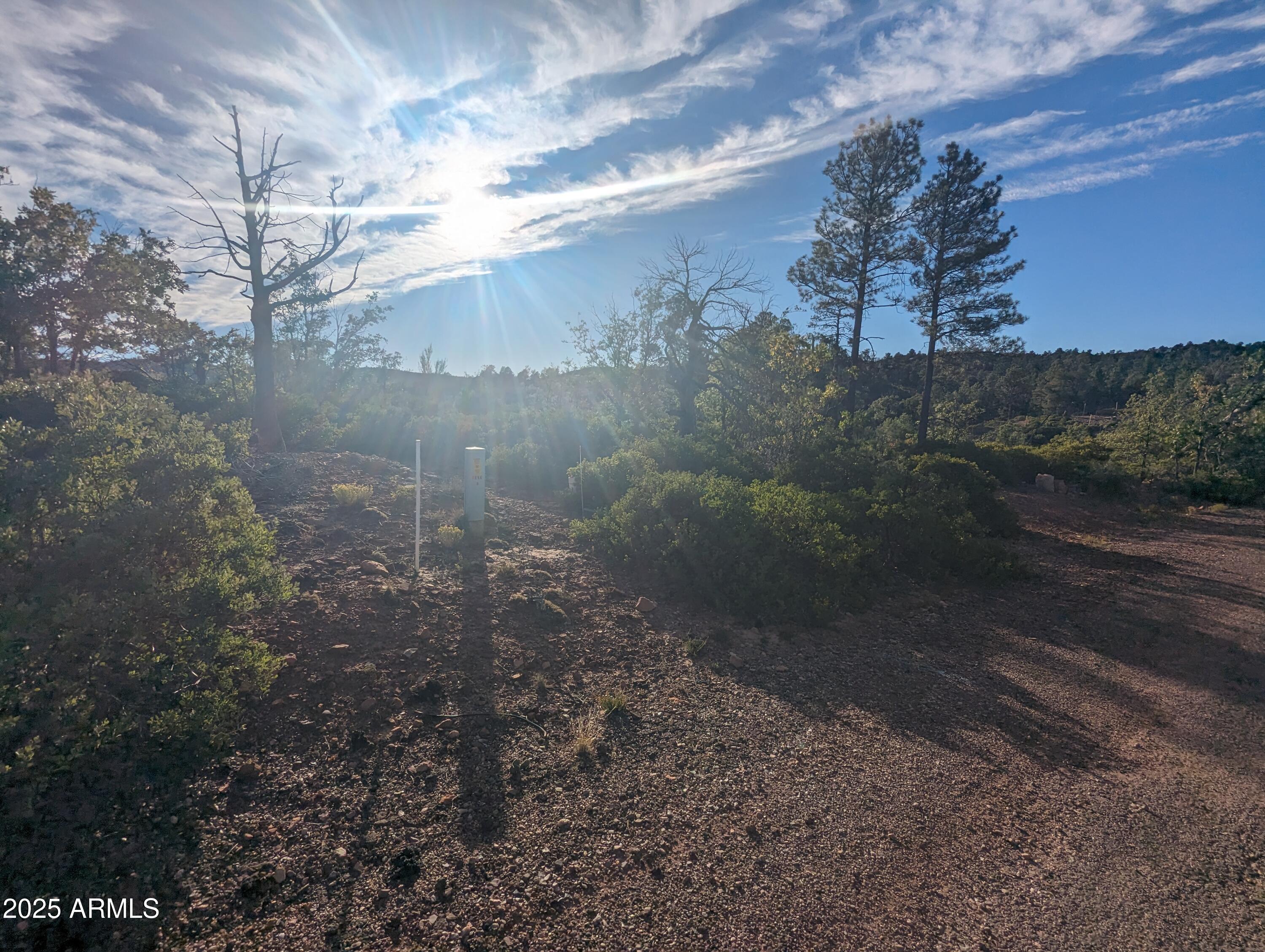 TIMBERLAND ACRES    lot 390 - Land