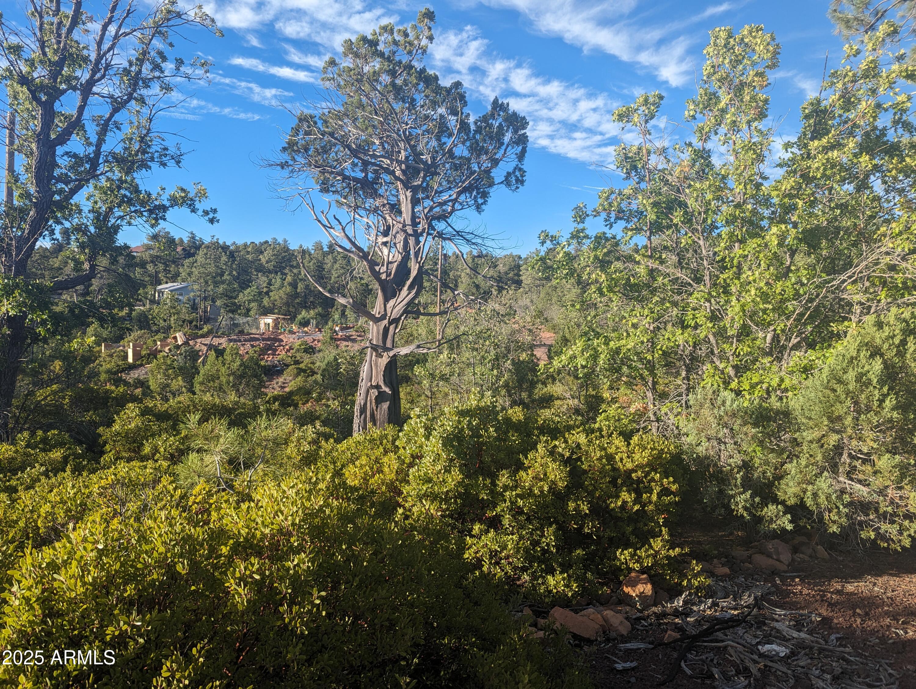 TIMBERLAND ACRES    lot 390 - Land