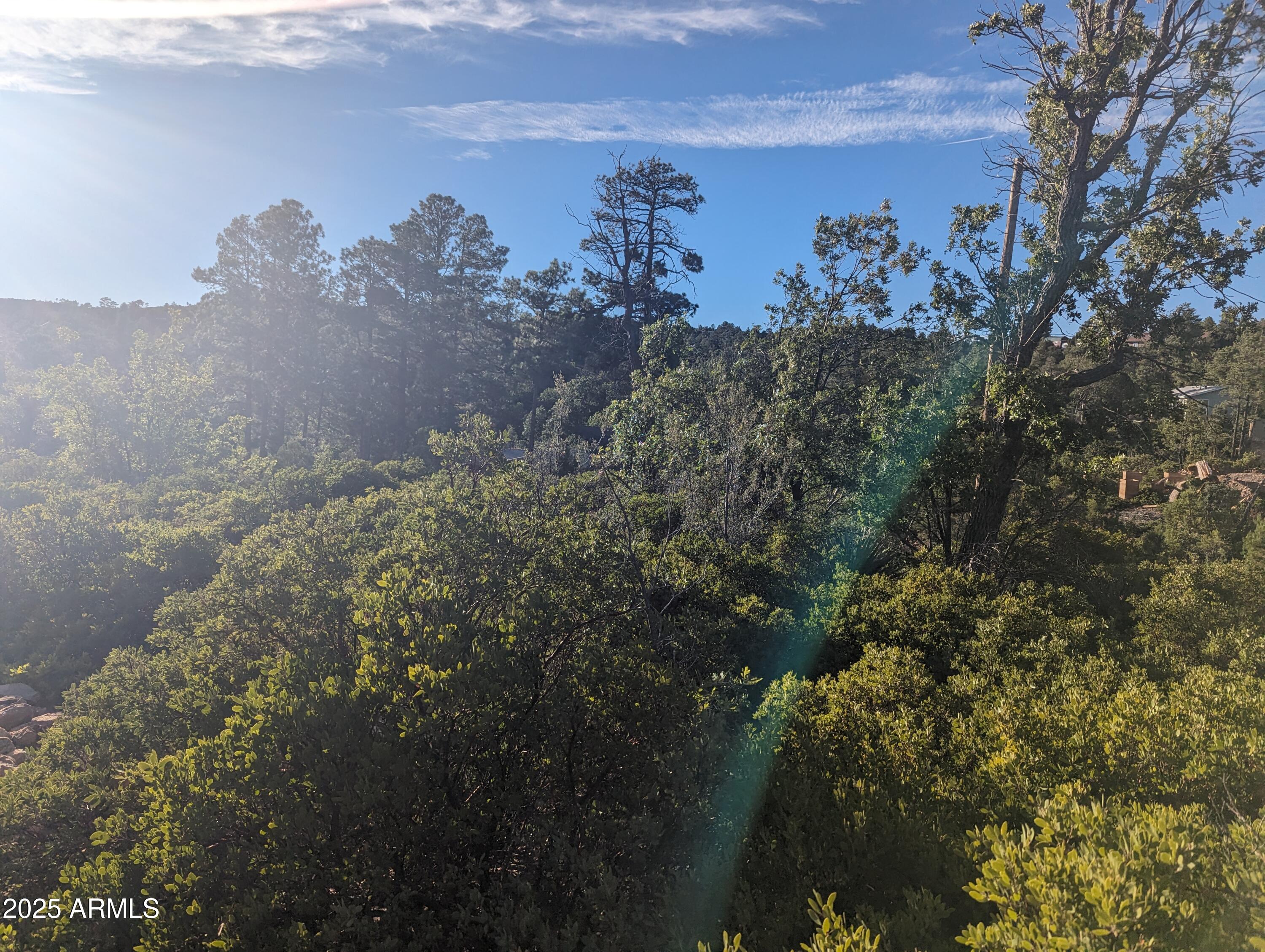 TIMBERLAND ACRES    lot 390 - Land