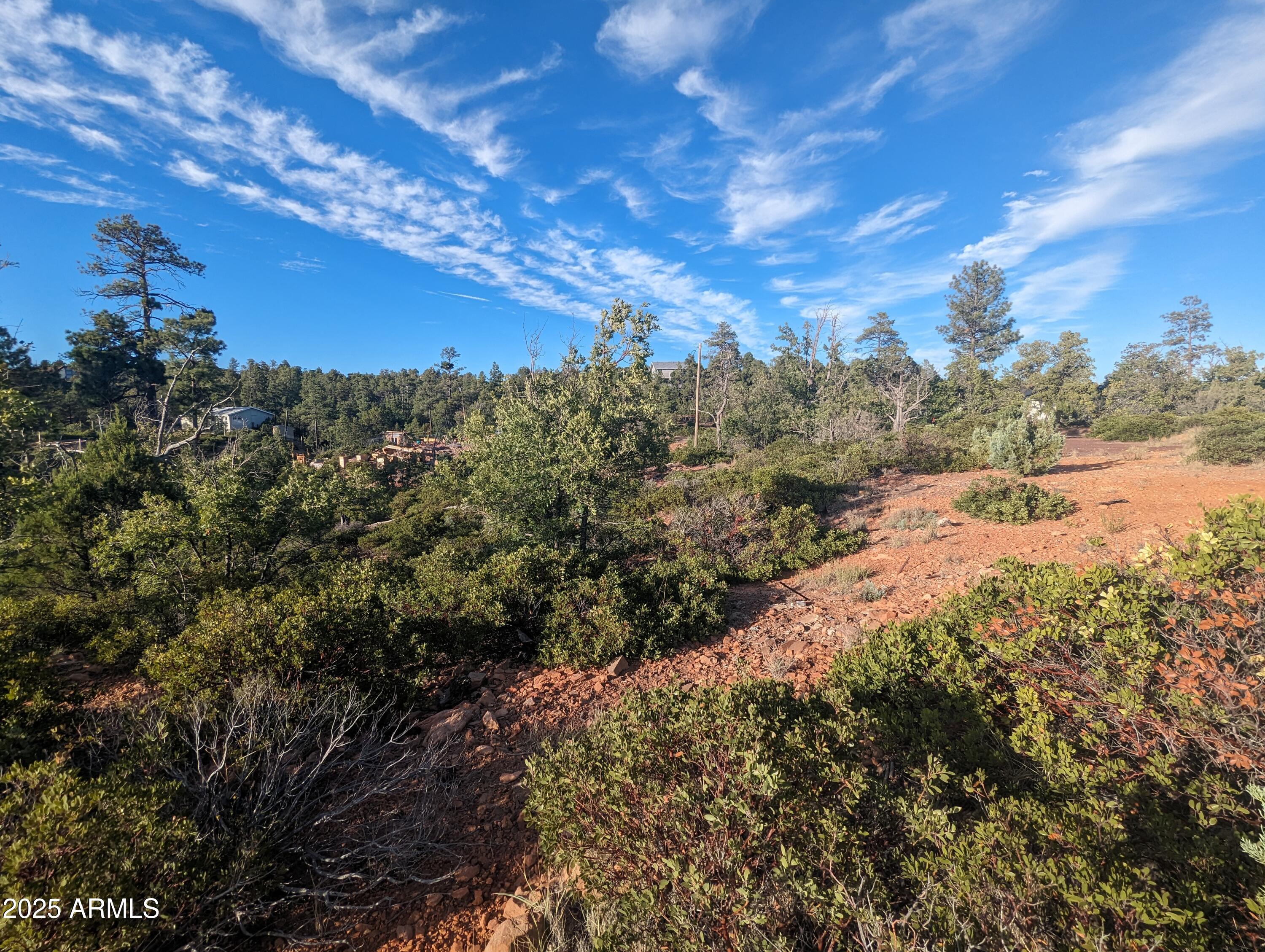 TIMBERLAND ACRES    lot 390 - Land