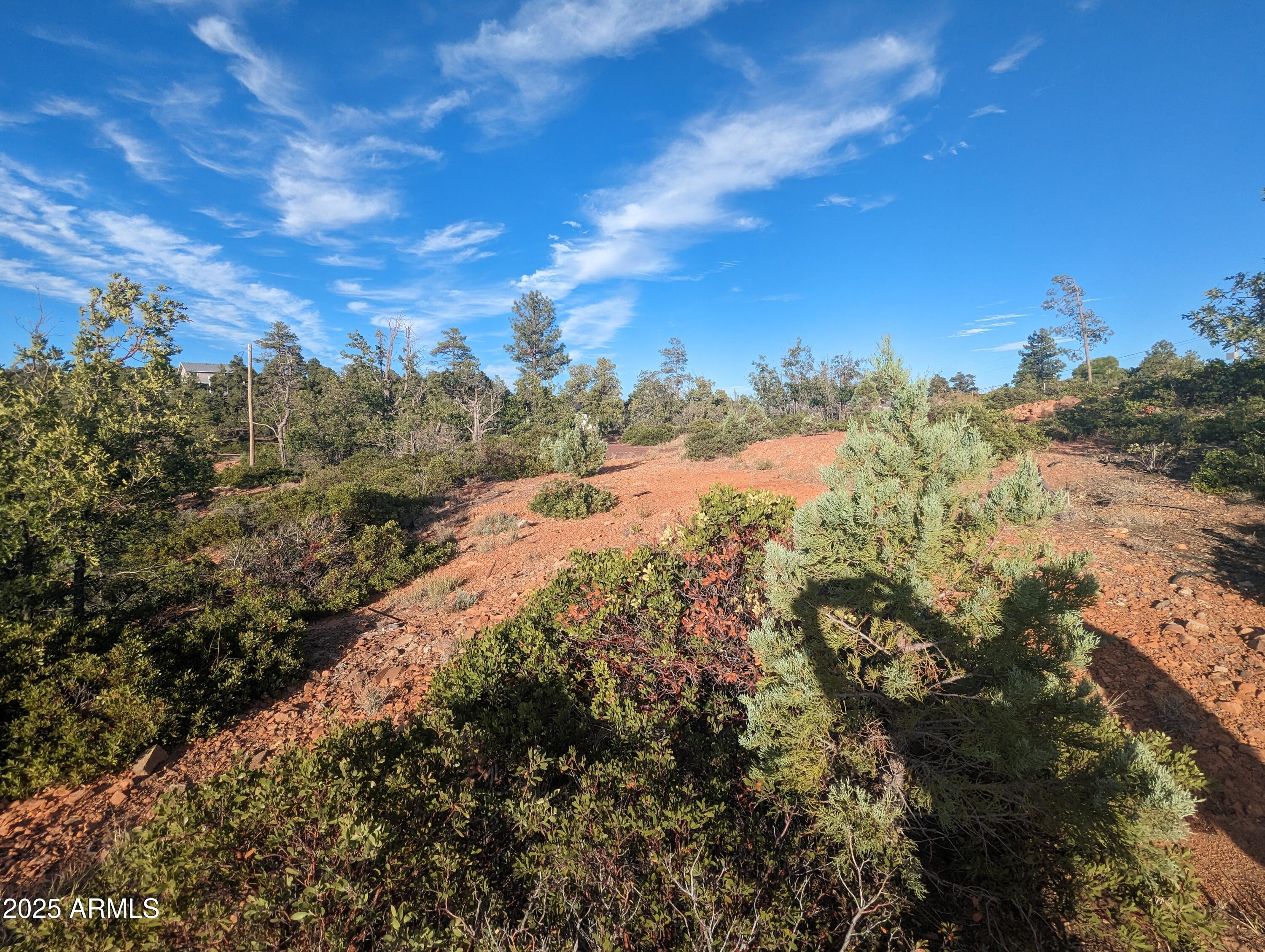 TIMBERLAND ACRES    lot 390 - Land