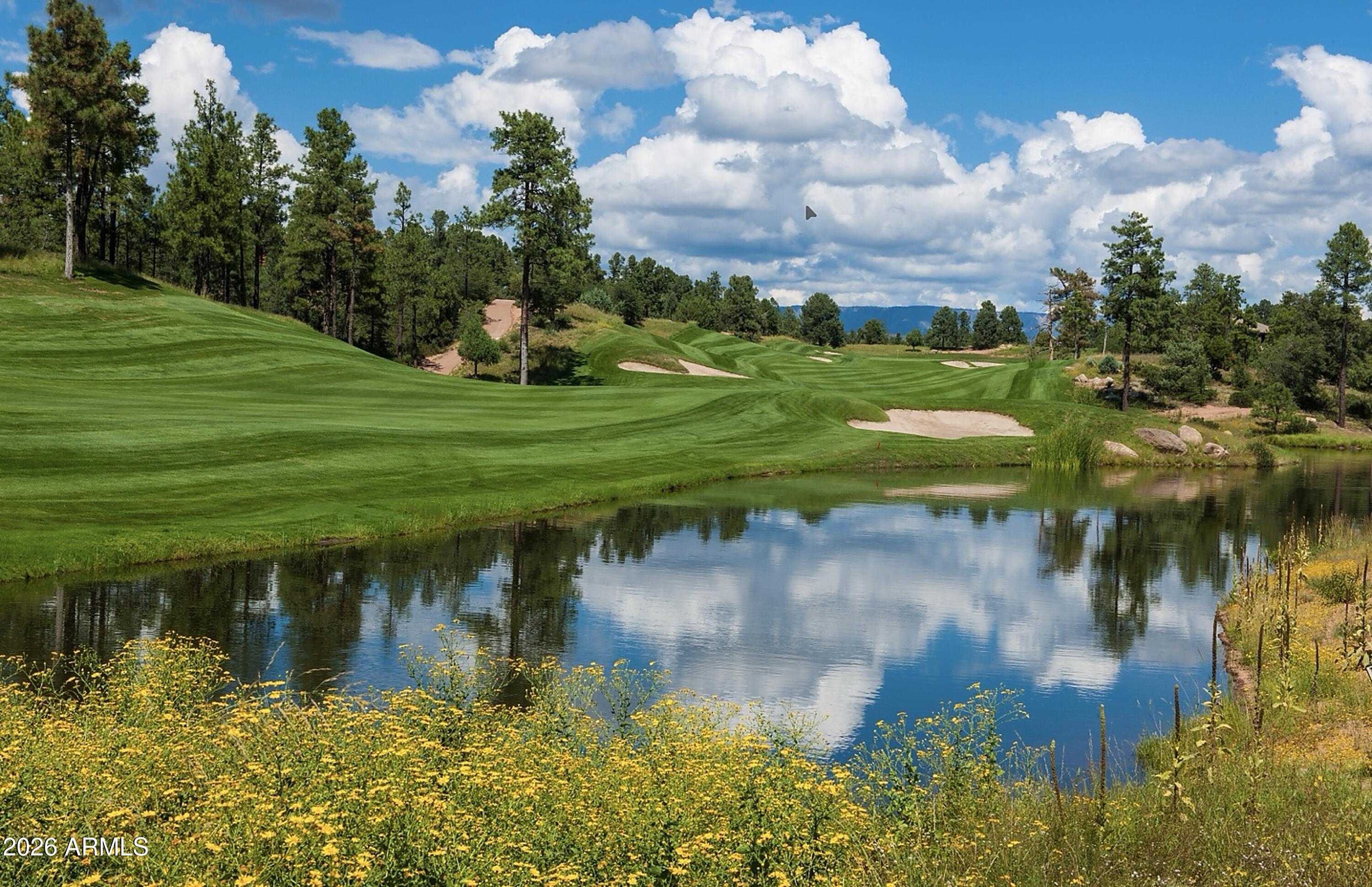 Chaparral Pines Phase One - Residential