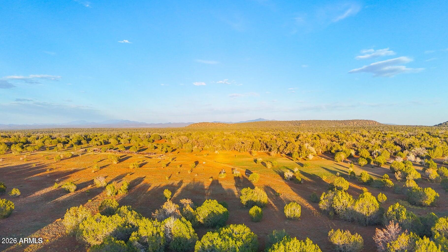 Beautiful property in Westwood Ranches! Secluded and heavily treed with great views, this parcel is the perfect spot for a weekend getaway, camping retreat, off-grid home, or future escape. Enjoy privacy, nature, and endless Arizona skies in this peaceful setting!