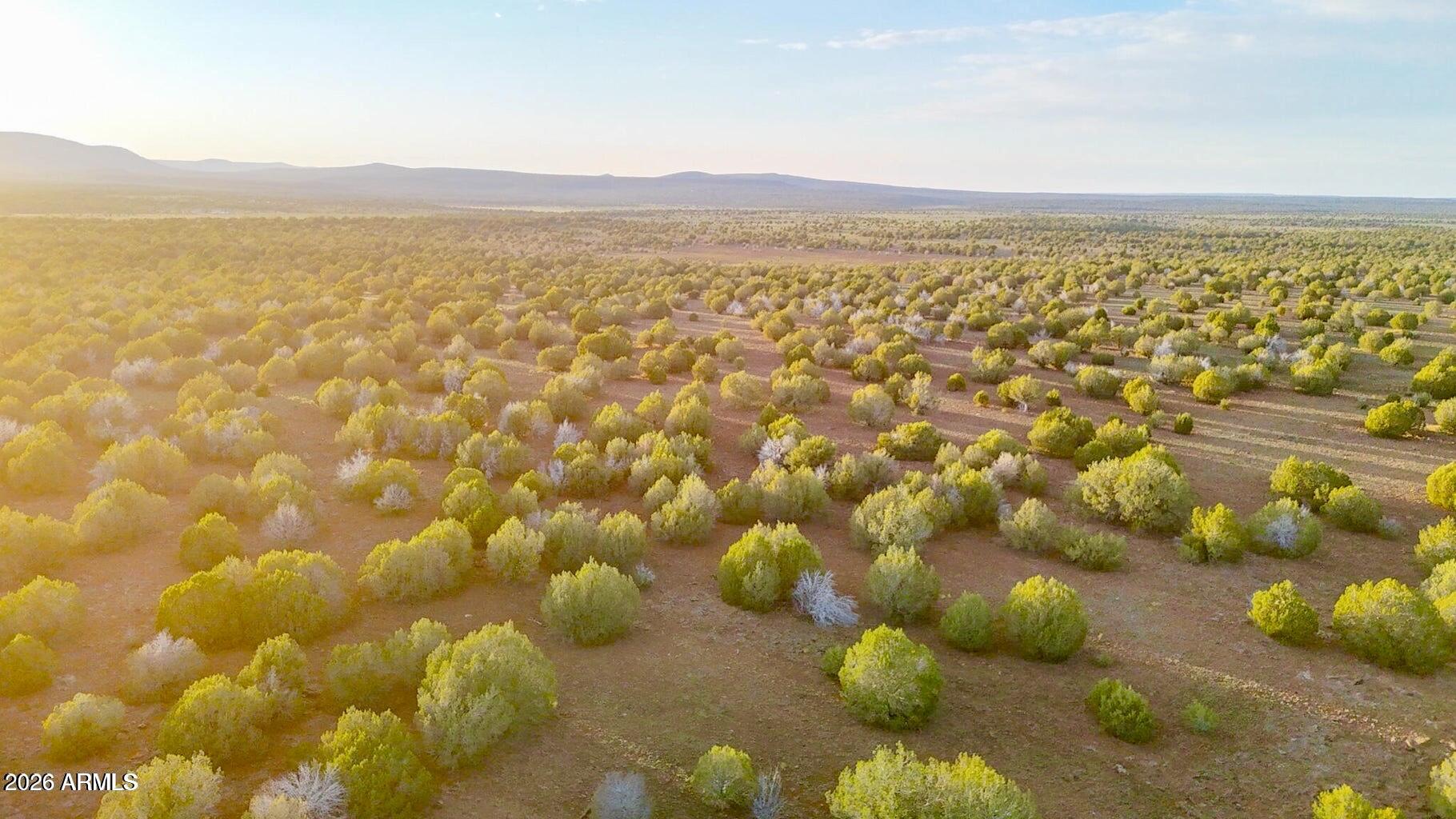 WESTWOOD RANCHES PHASE 2 - Land