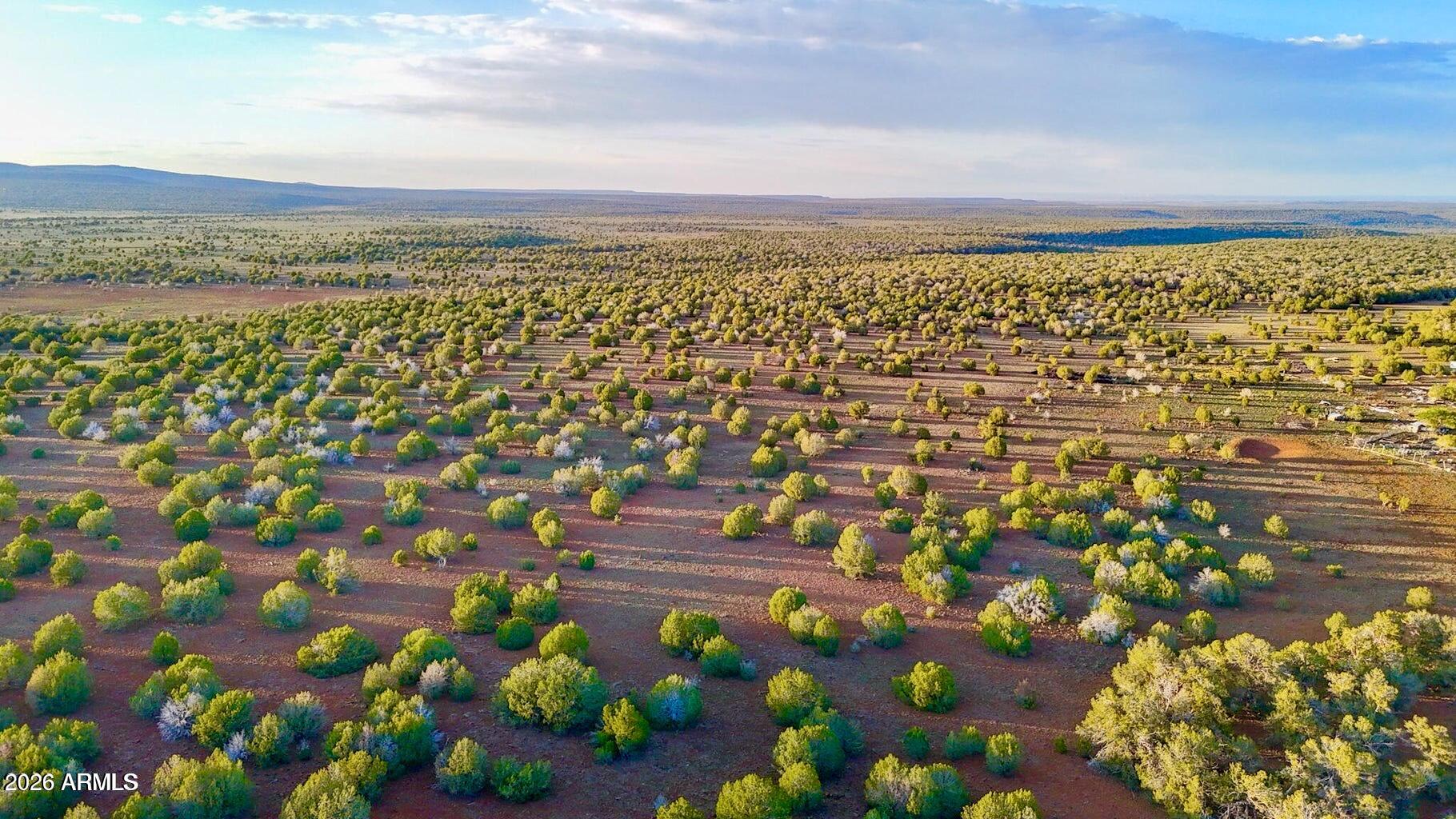 WESTWOOD RANCHES PHASE 2 - Land