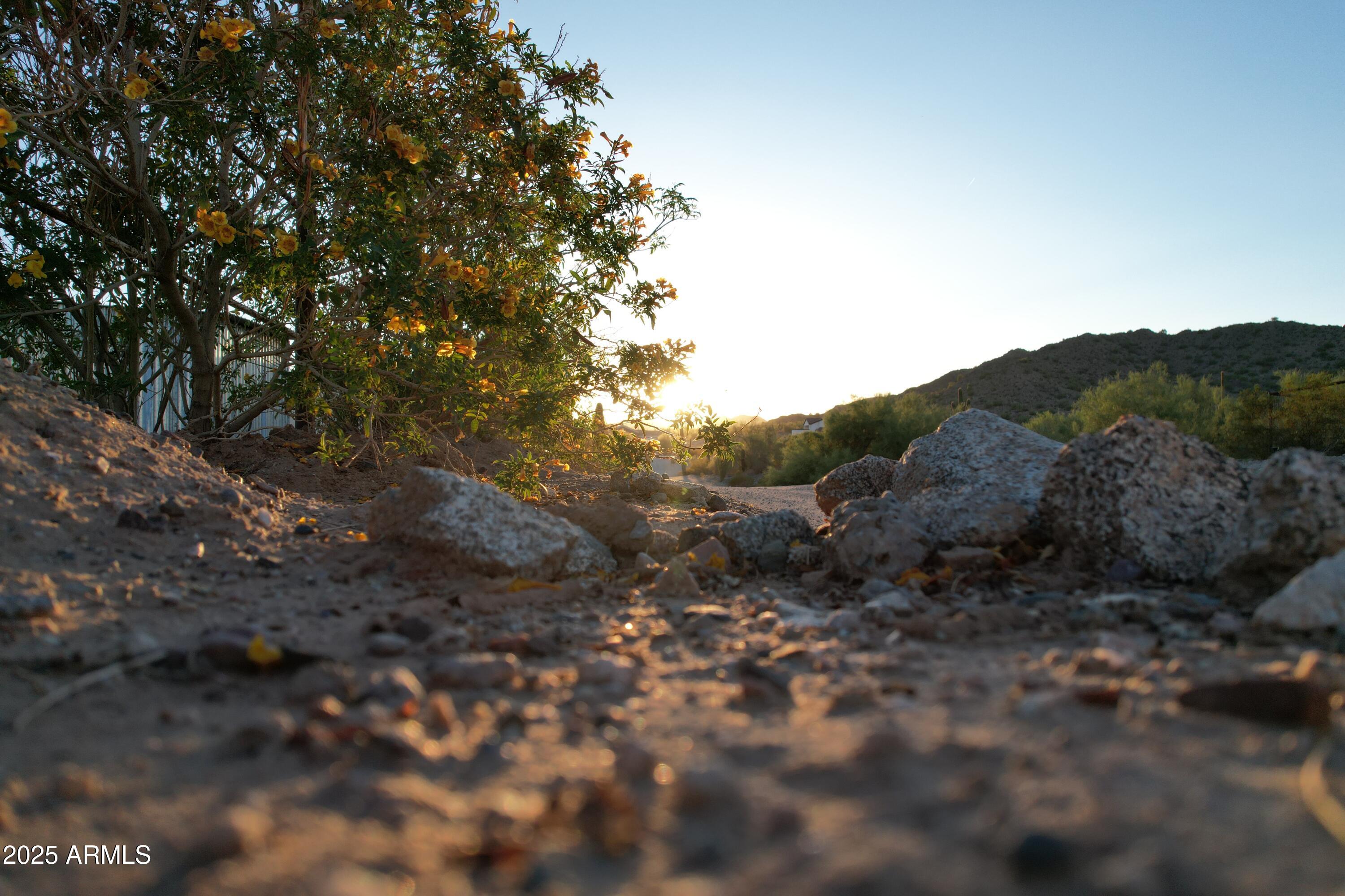This elevated, buildable lot with beautiful views is on a shared well, backs to state land, and is only a short drive to Hunt Highway. There are very nice saguaros amid the mature natural vegetation. The seller is willing to consider carrying back a loan or creative financing with an appropriate offer. The information provided is believed to be accurate, but buyer is encouraged to complete all due diligence.