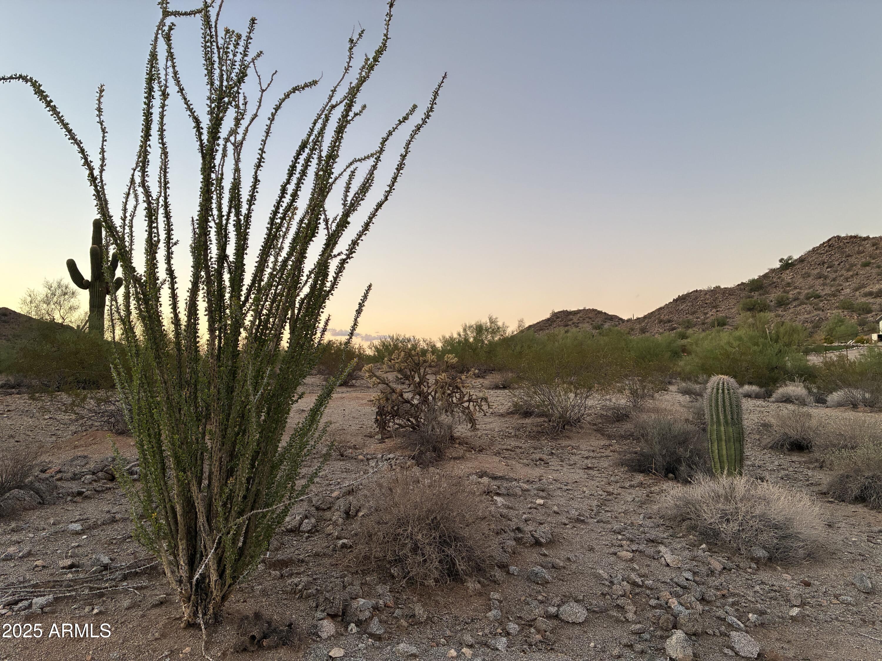 CHANDLER HEIGHTS RANCHES UNIT IV - Land