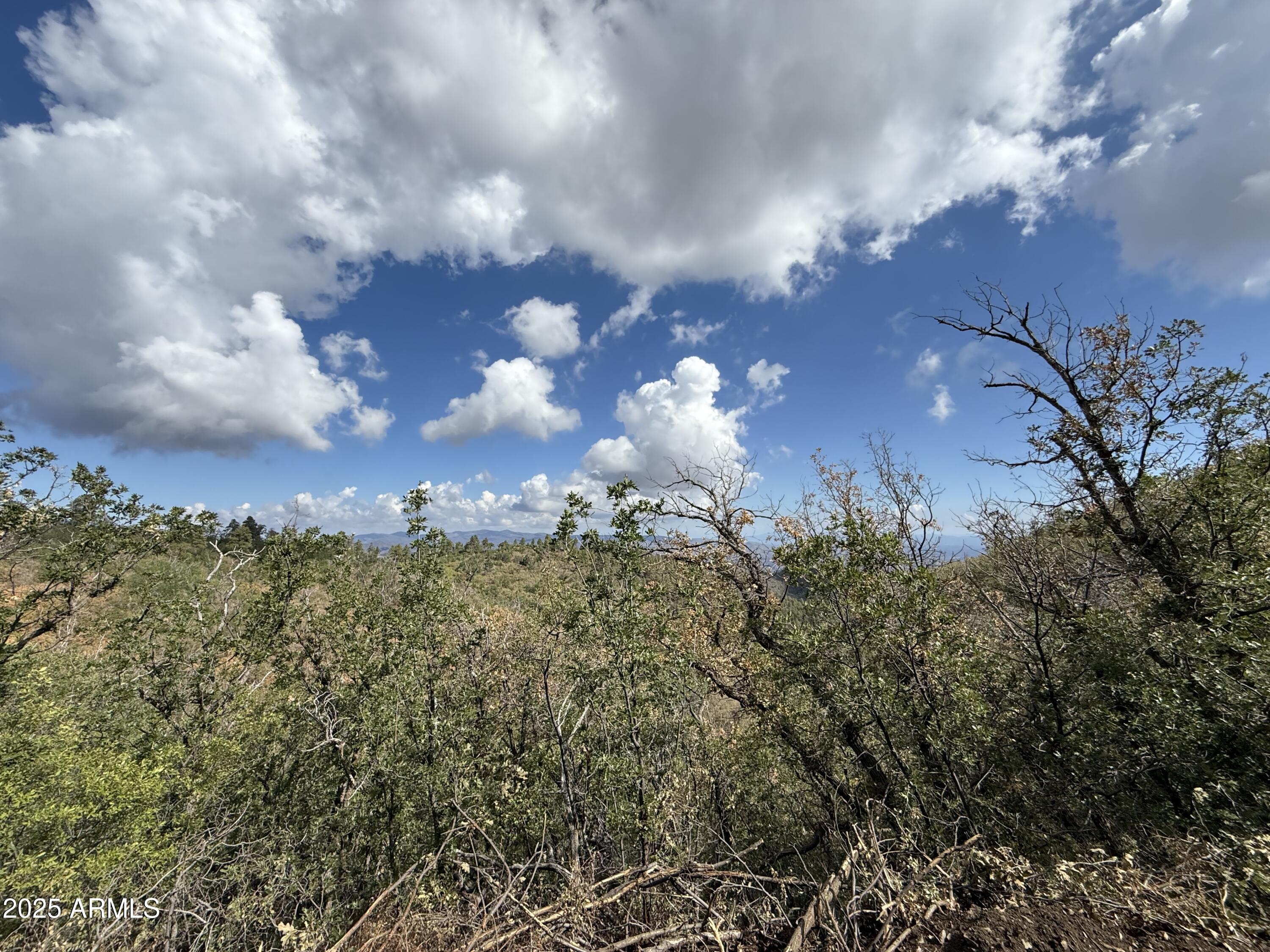 - - Land