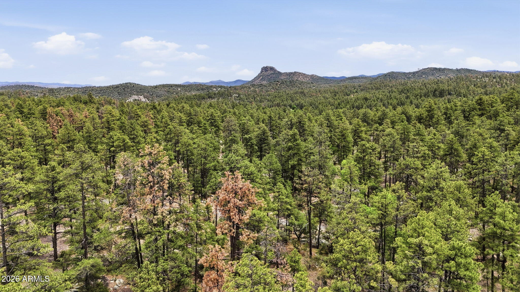 HIGHLAND PINES - Land