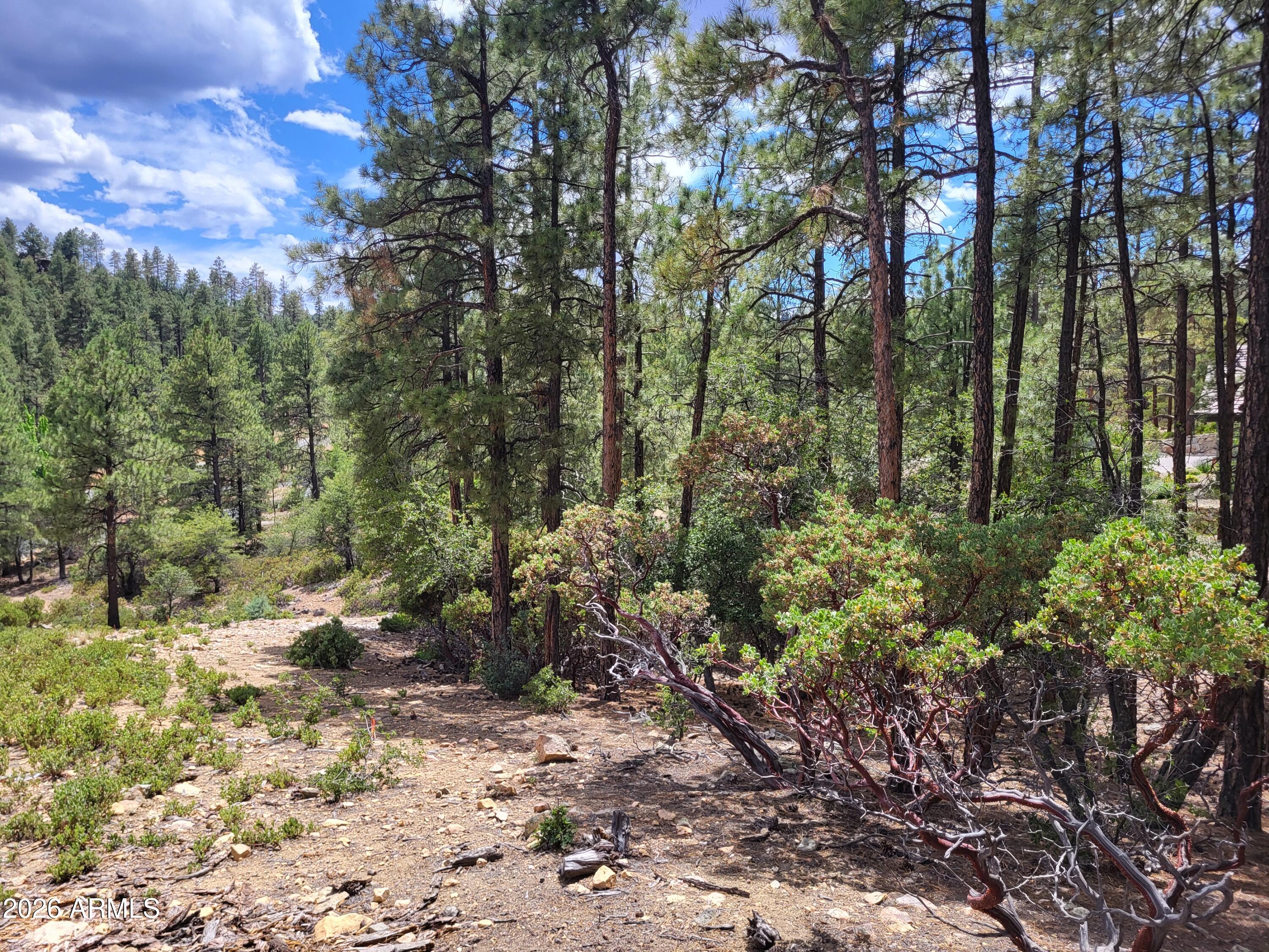 HIGH VALLEY RANCH - Land