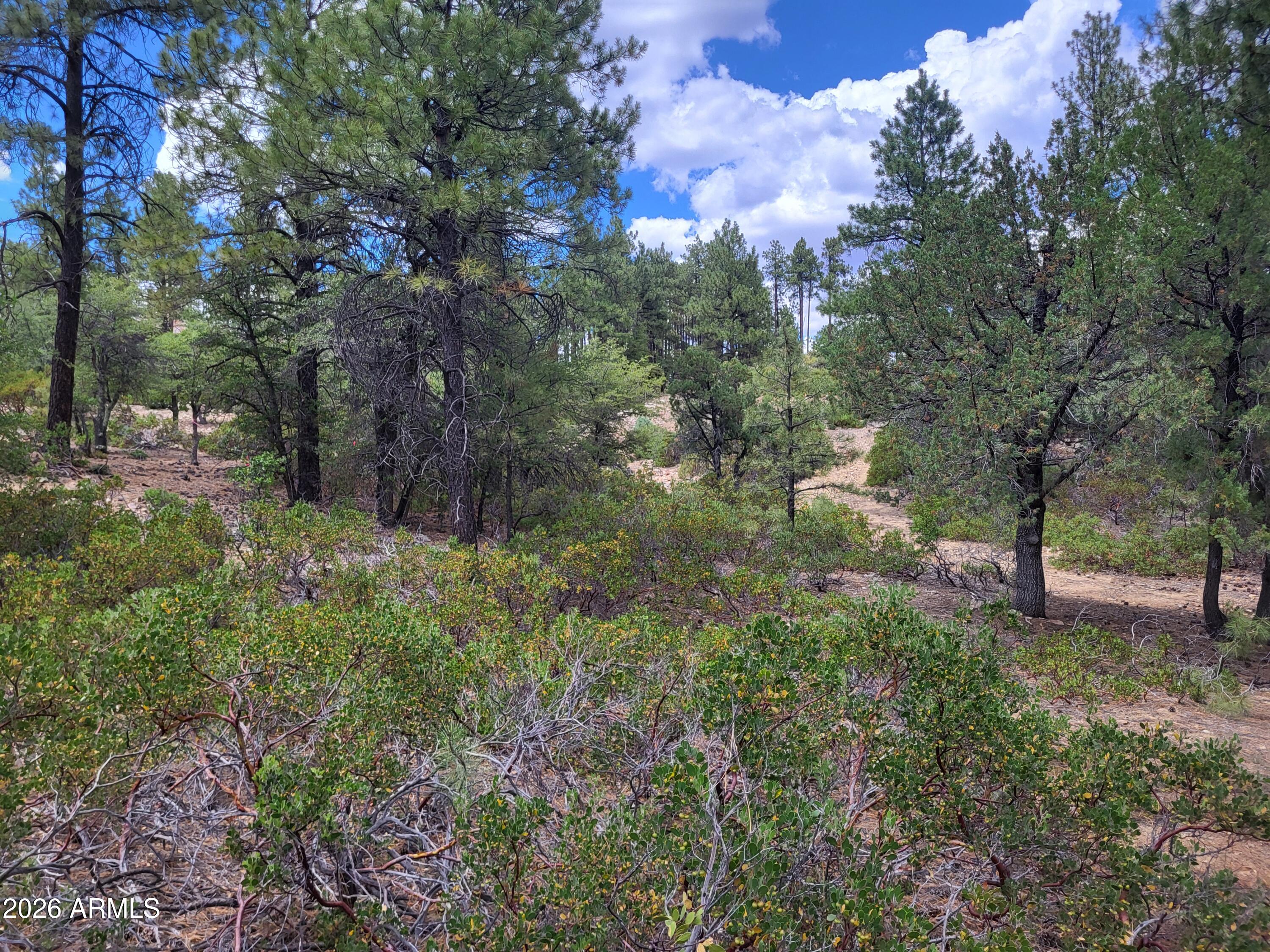 HIGH VALLEY RANCH - Land