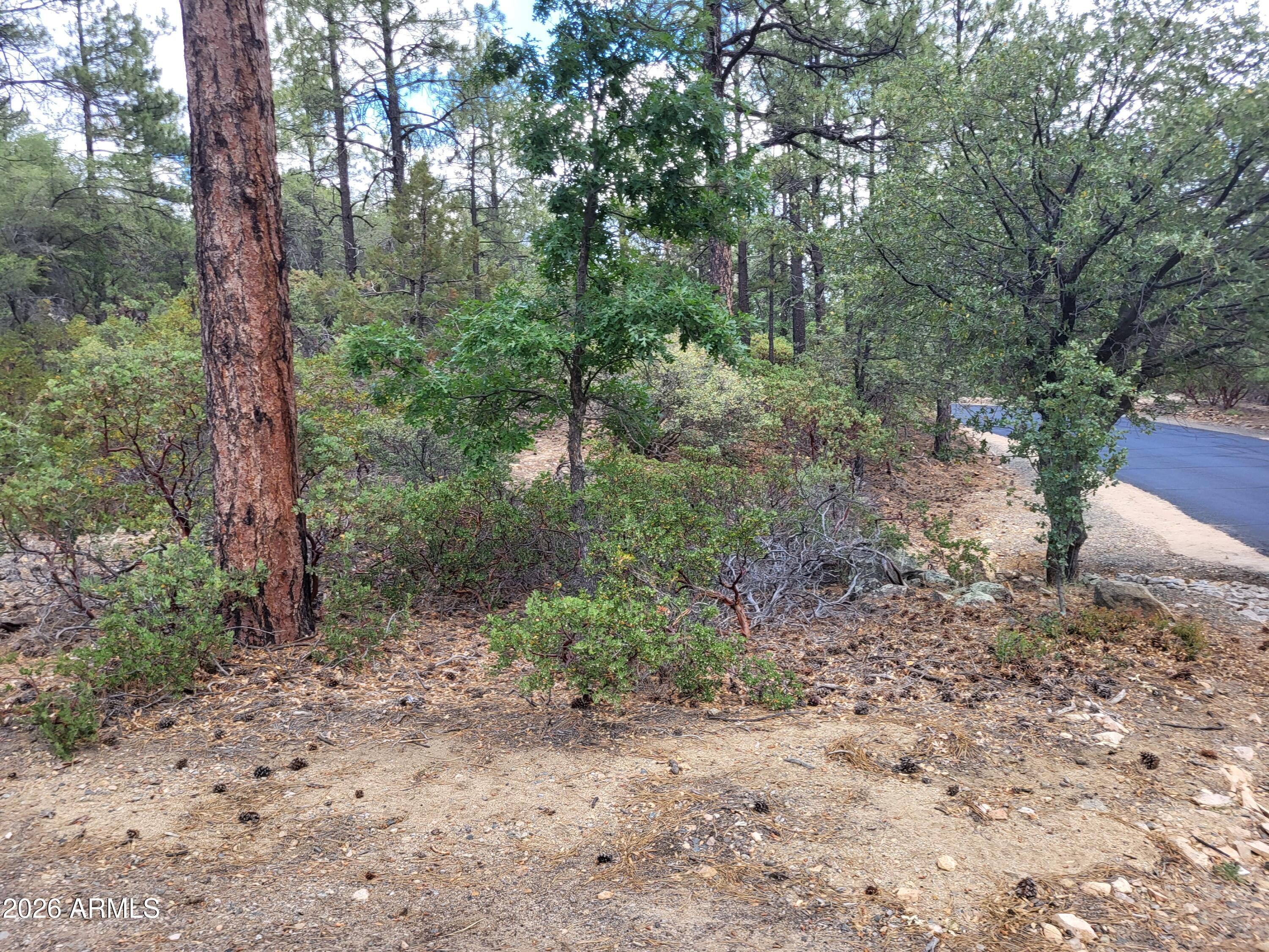 HIGH VALLEY RANCH - Land